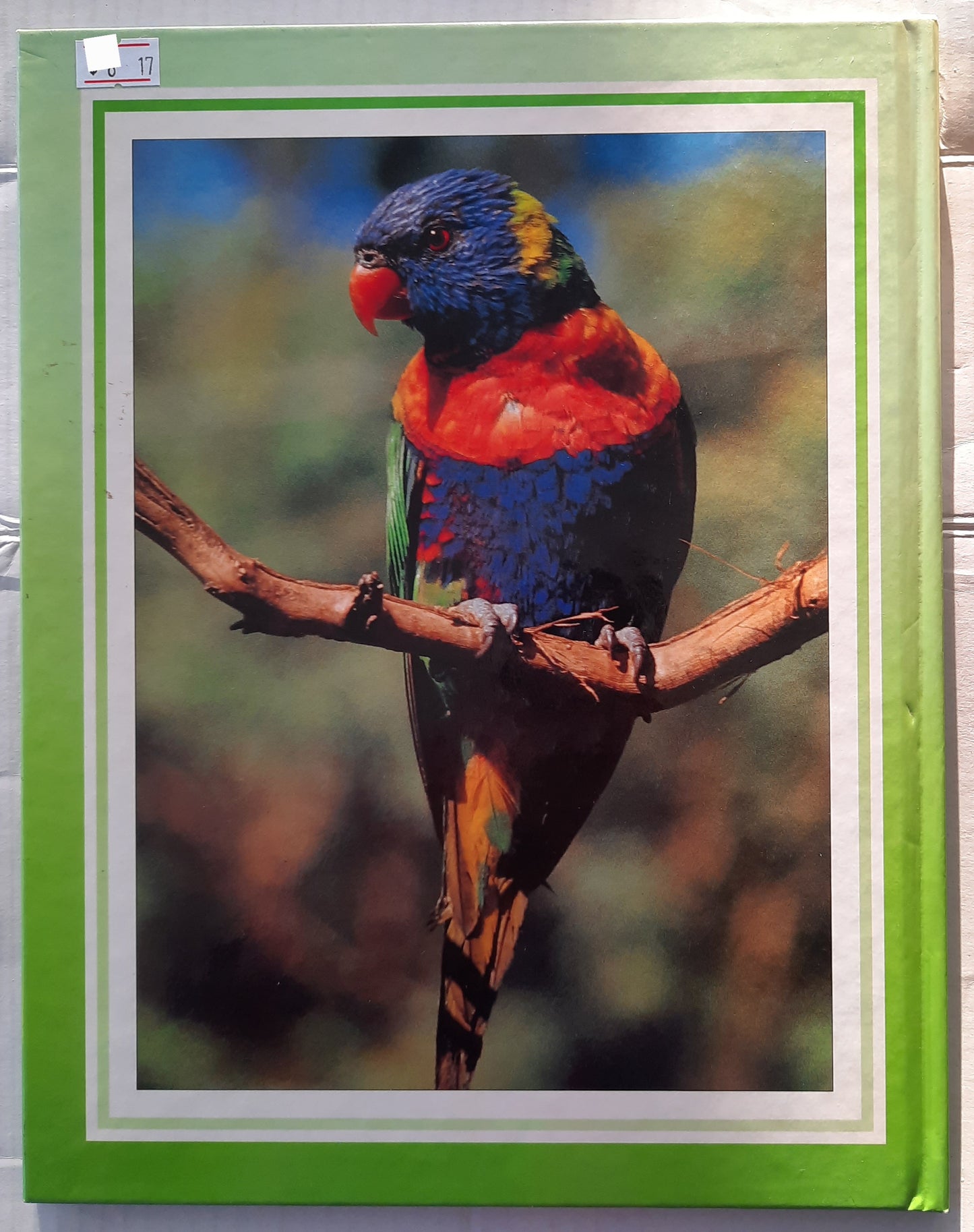 Colourful Australia Animals von Rupert Matthews (Sehr gut, 1991, HC, Colour Library)
