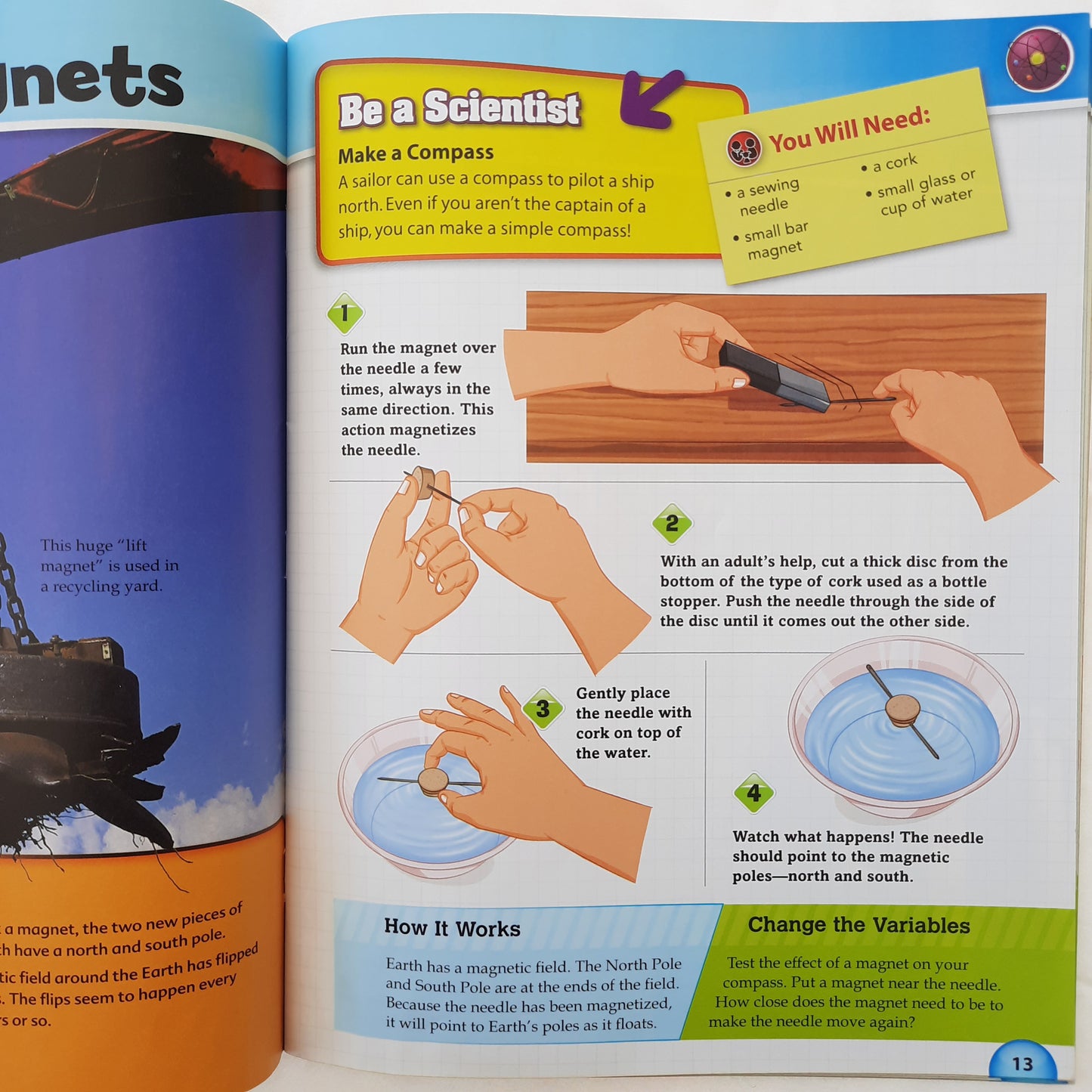 Top 20 Science Projects by Lynnette Sandvold (Very good, 2009, Pbk, 48 pages, Leopard Learning)