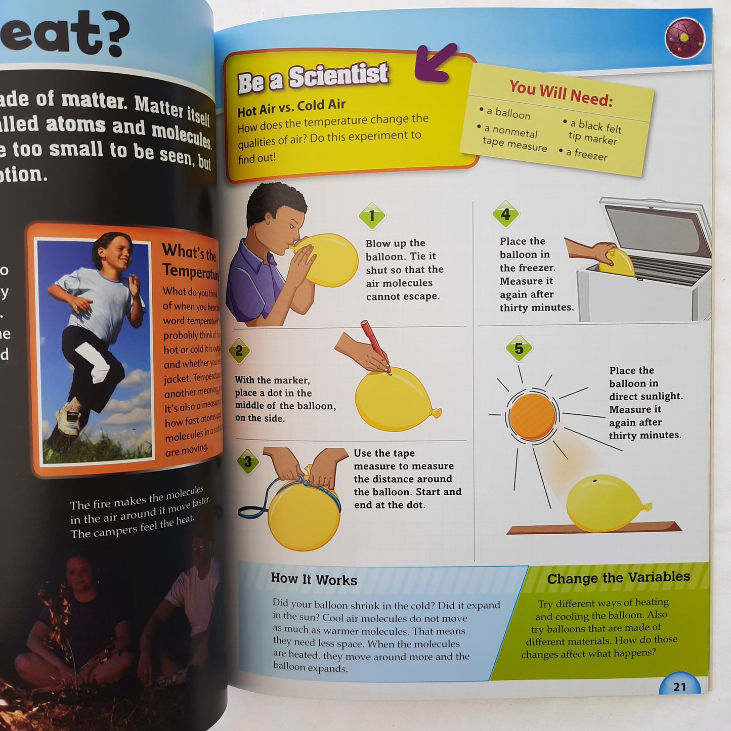 Top 20 Science Projects by Lynnette Sandvold (Very good, 2009, Pbk, 48 pages, Leopard Learning)