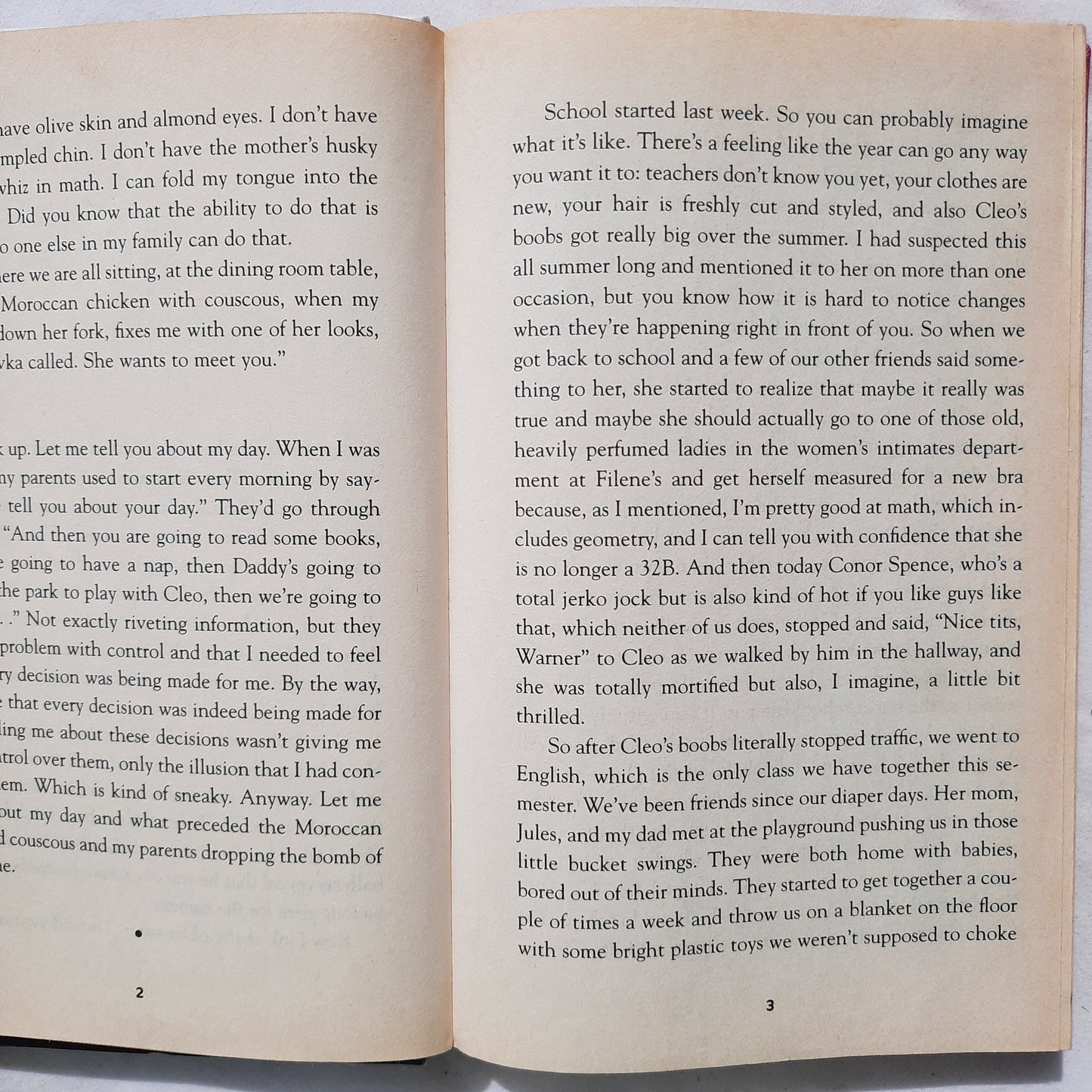 A Brief Chapter in My Impossible Life by Dana Reinhardt (Good, 2007, HC, 228 pages, Random House)