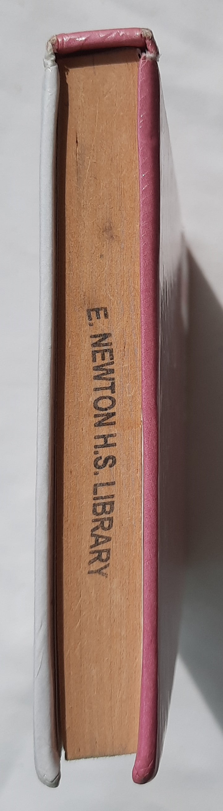 A Brief Chapter in My Impossible Life by Dana Reinhardt (Good, 2007, HC, 228 pages, Random House)