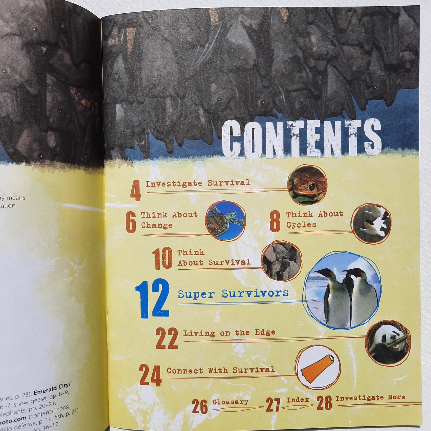 Investigate Survival: Adapt or Die by Lynette Evans (Good, Pbk, 2008, Scholastic, 28 pages)