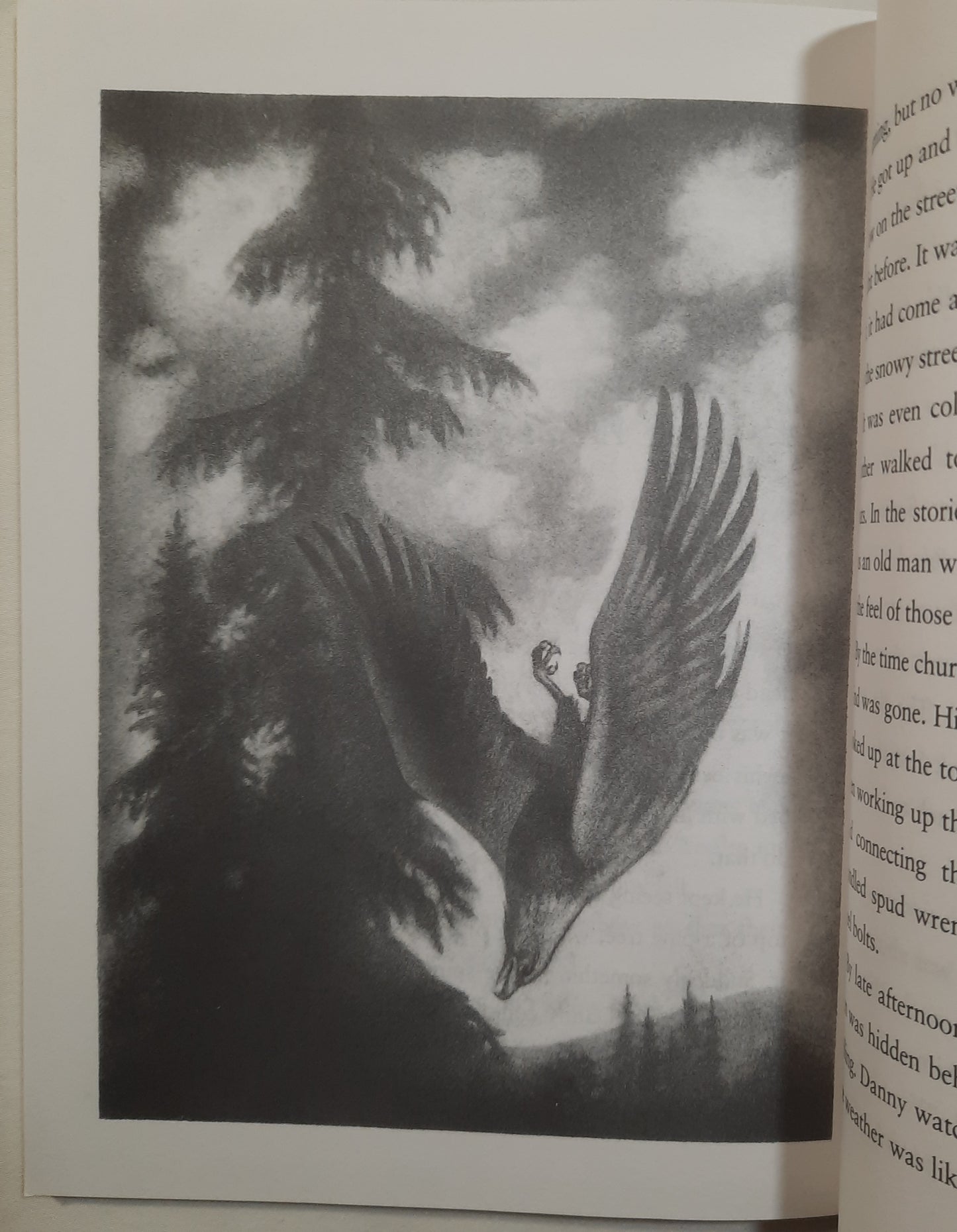 Eagle Song by Joseph Bruchac; Andreasen Dan (Good, 1999, PBk, 80 pages, Scholastic)