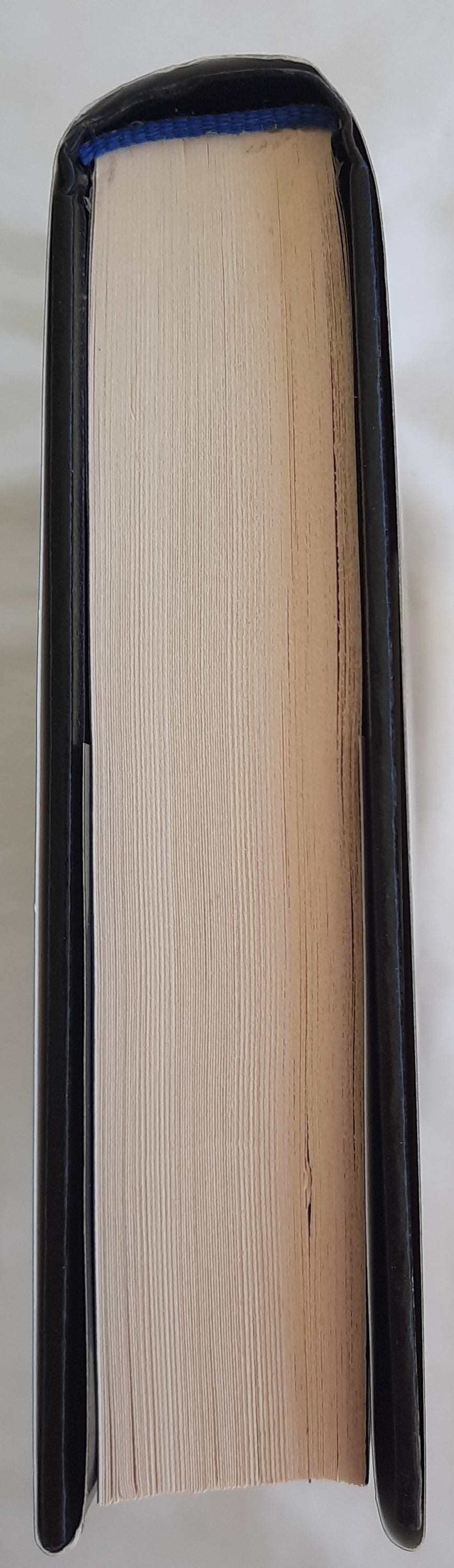 The Indwelling #7 von Tim LaHaye; Jerry Jenkins (Left Behind, sehr gut, 2000, HC, 389 Seiten, Tyndale House)