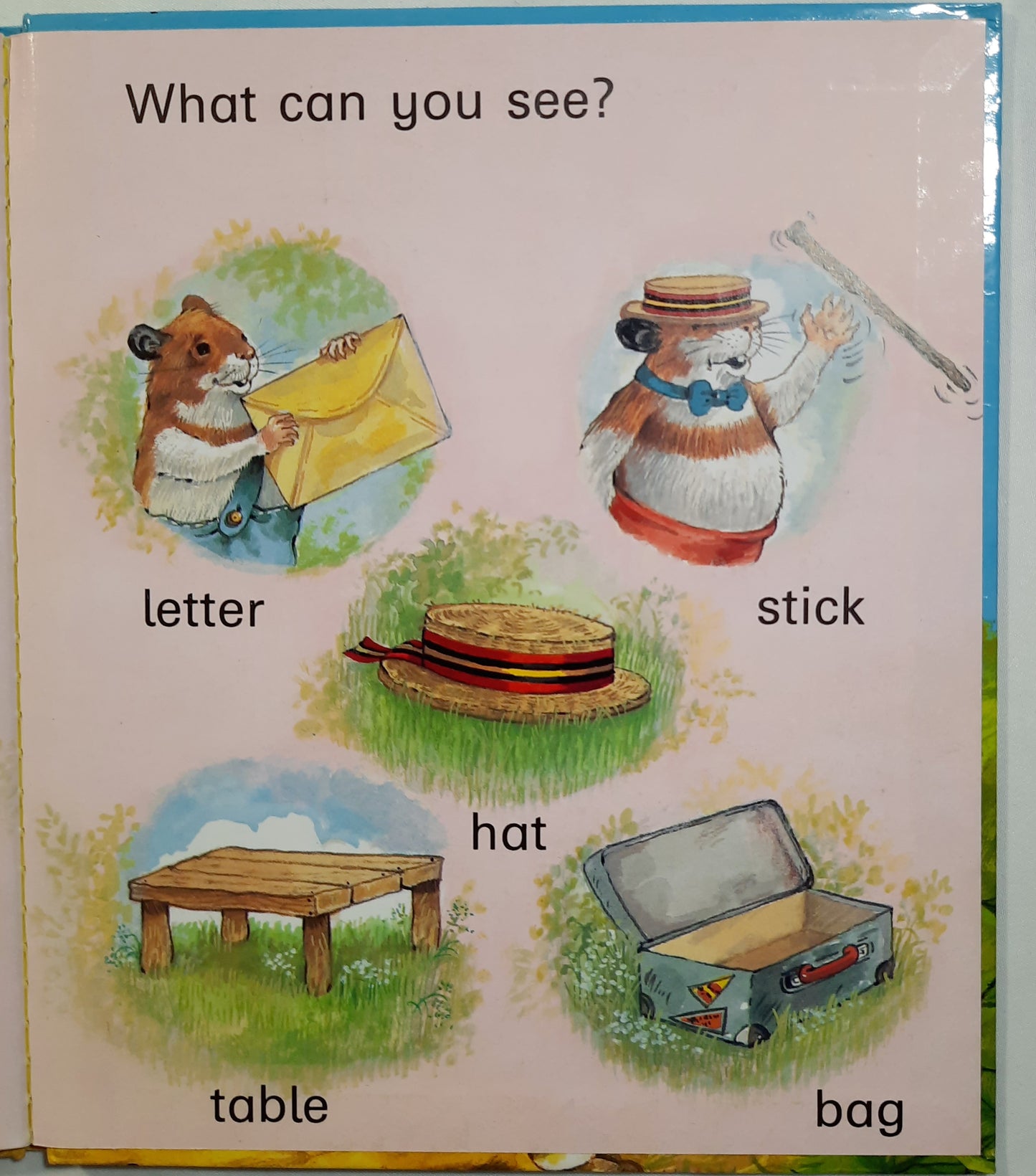 Little Hamster by Lucy Kincaid (I Can Read By Myself, Very good, 1984, HC, 28 pages, Brimax Books)