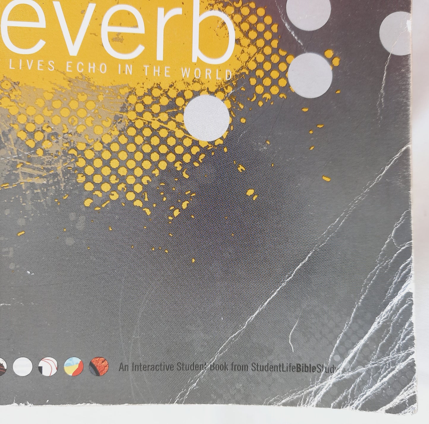 Reverb: Our Lives Echo in the World by Andy Banks (Good, 2009, Pbk, 315 pages, Charity Publishers )