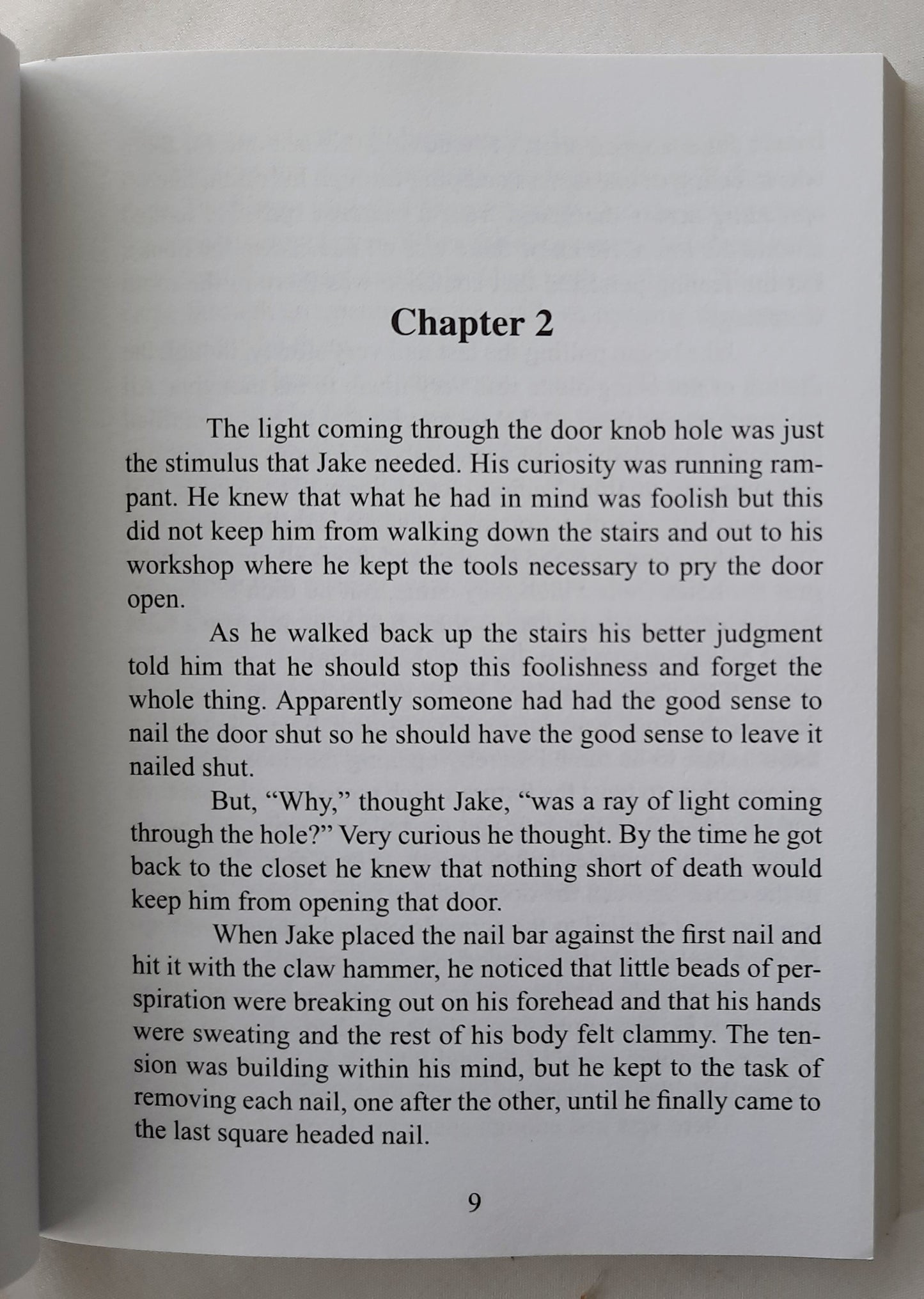 The Door to Danger #1 by H. Glynn Sanders (Jake Wells, Very good, 2006, Pbk, 192 pages, Big Rock Publishers)