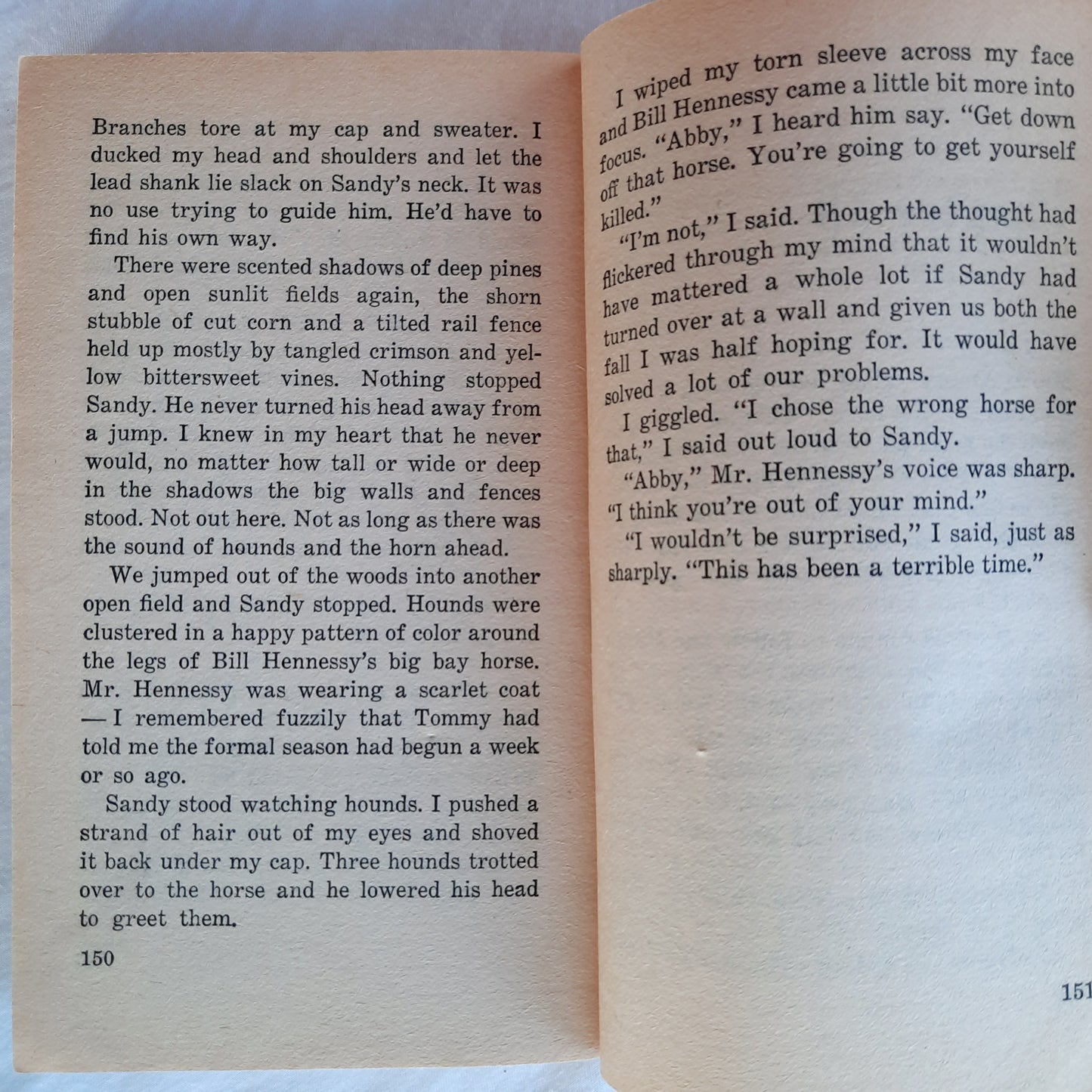 Dark Horse by Jean Slaughter Doty (Acceptable, 1983, Pbk, 158 pages, Scholastic)