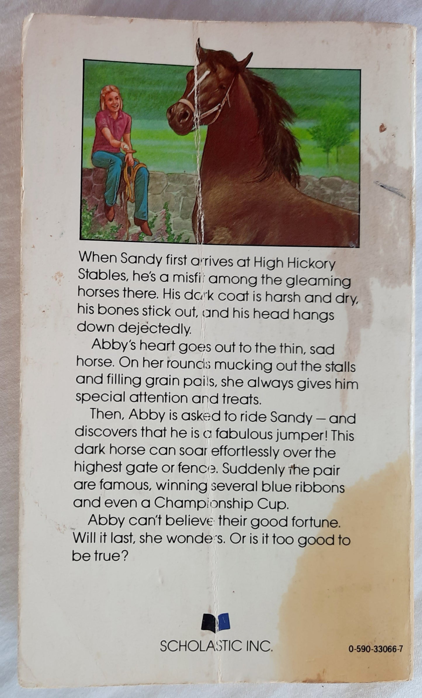 Dark Horse by Jean Slaughter Doty (Acceptable, 1983, Pbk, 158 pages, Scholastic)