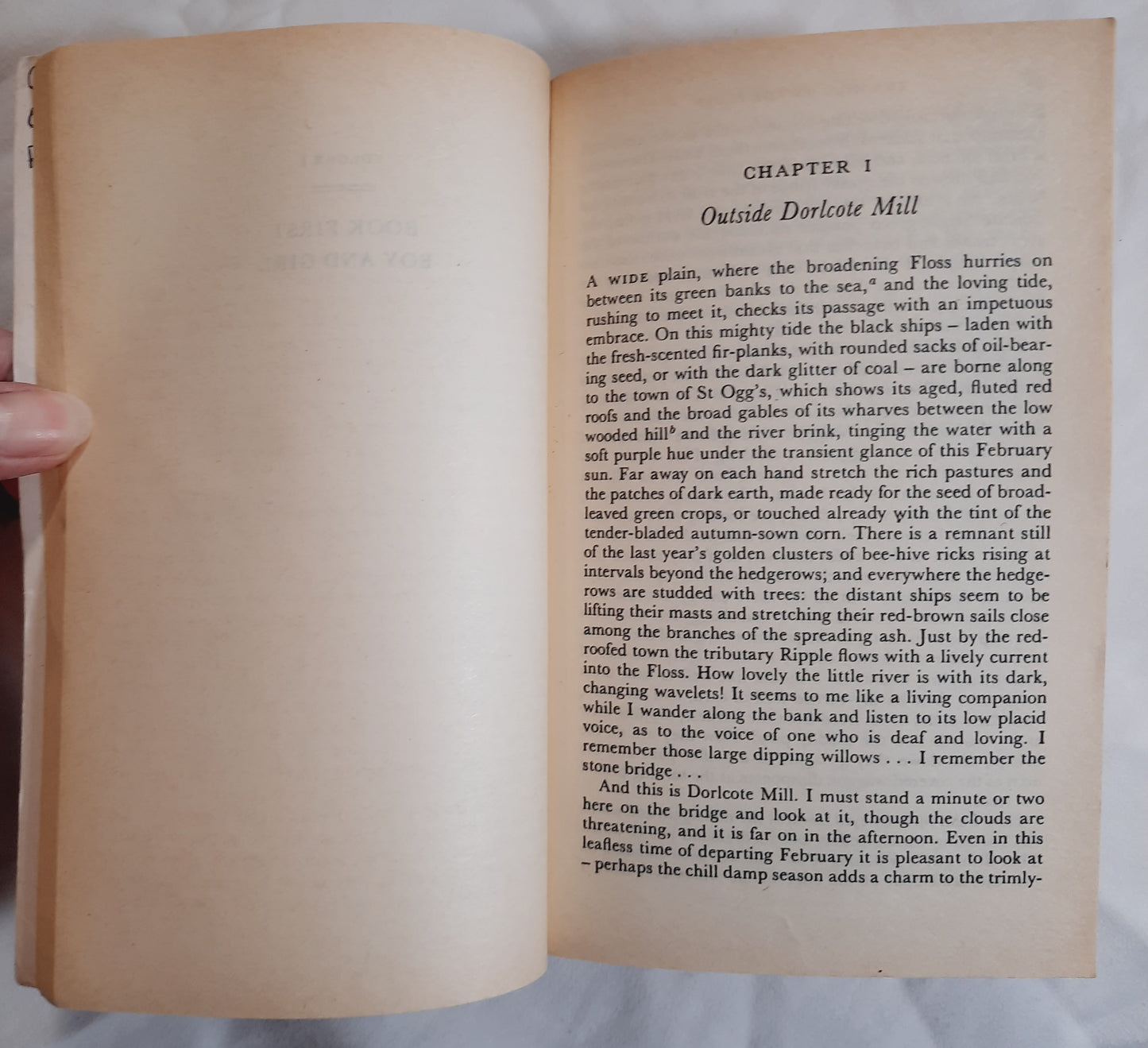 The Mill on the Floss by George Eliot (Good, 1985, Pbk, 704 pages, Penguin Classics)