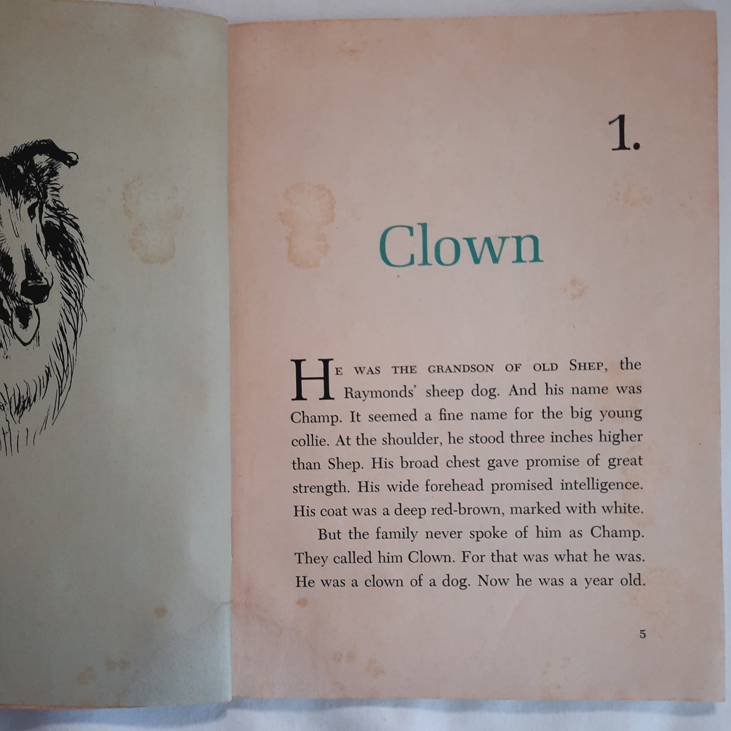 Champ: Gallant Collie by Patricia Lauber; Leonard Shortall (Acceptable, 1974, Pbk, 72 pages, Scholastic)