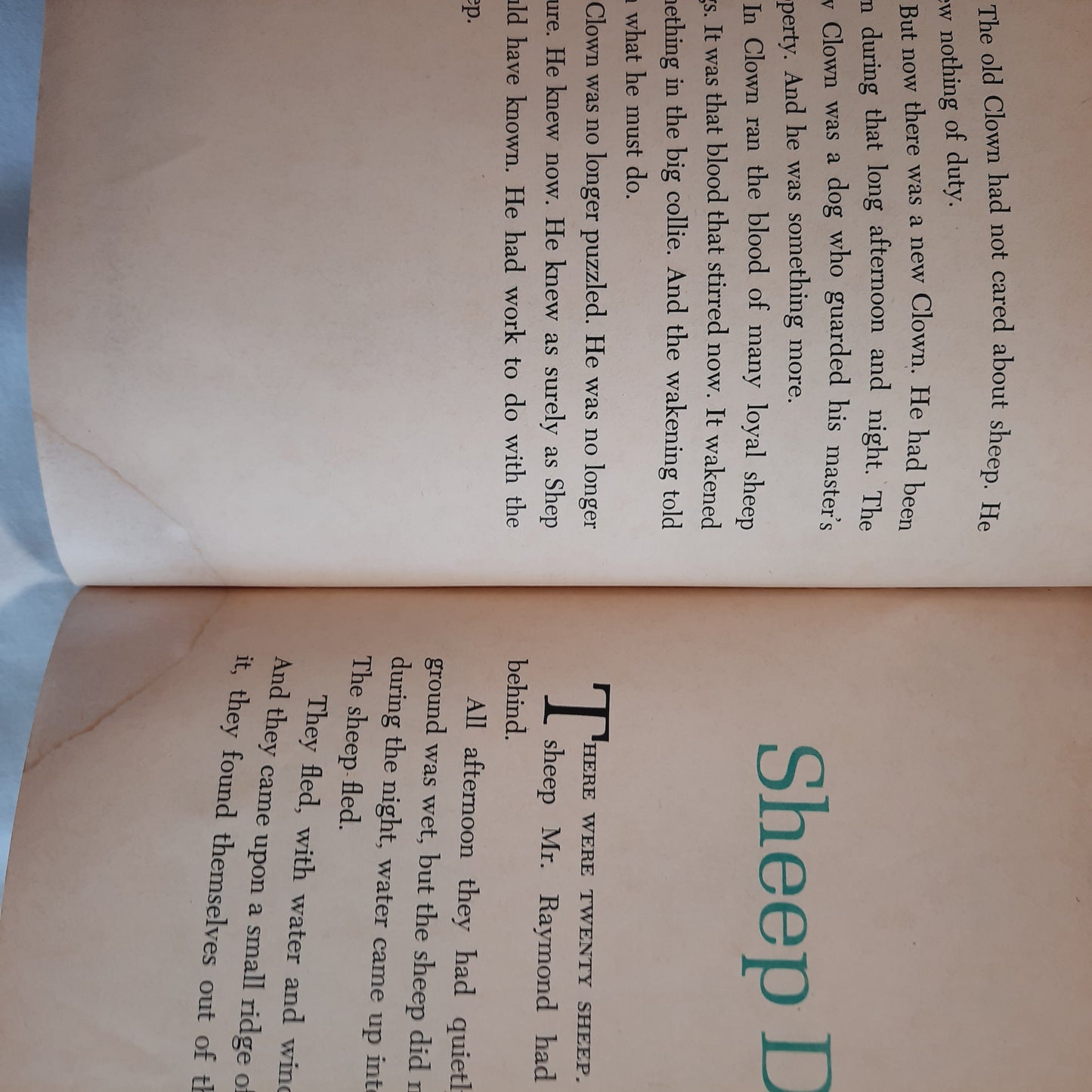 Champ: Gallant Collie by Patricia Lauber; Leonard Shortall (Acceptable, 1974, Pbk, 72 pages, Scholastic)