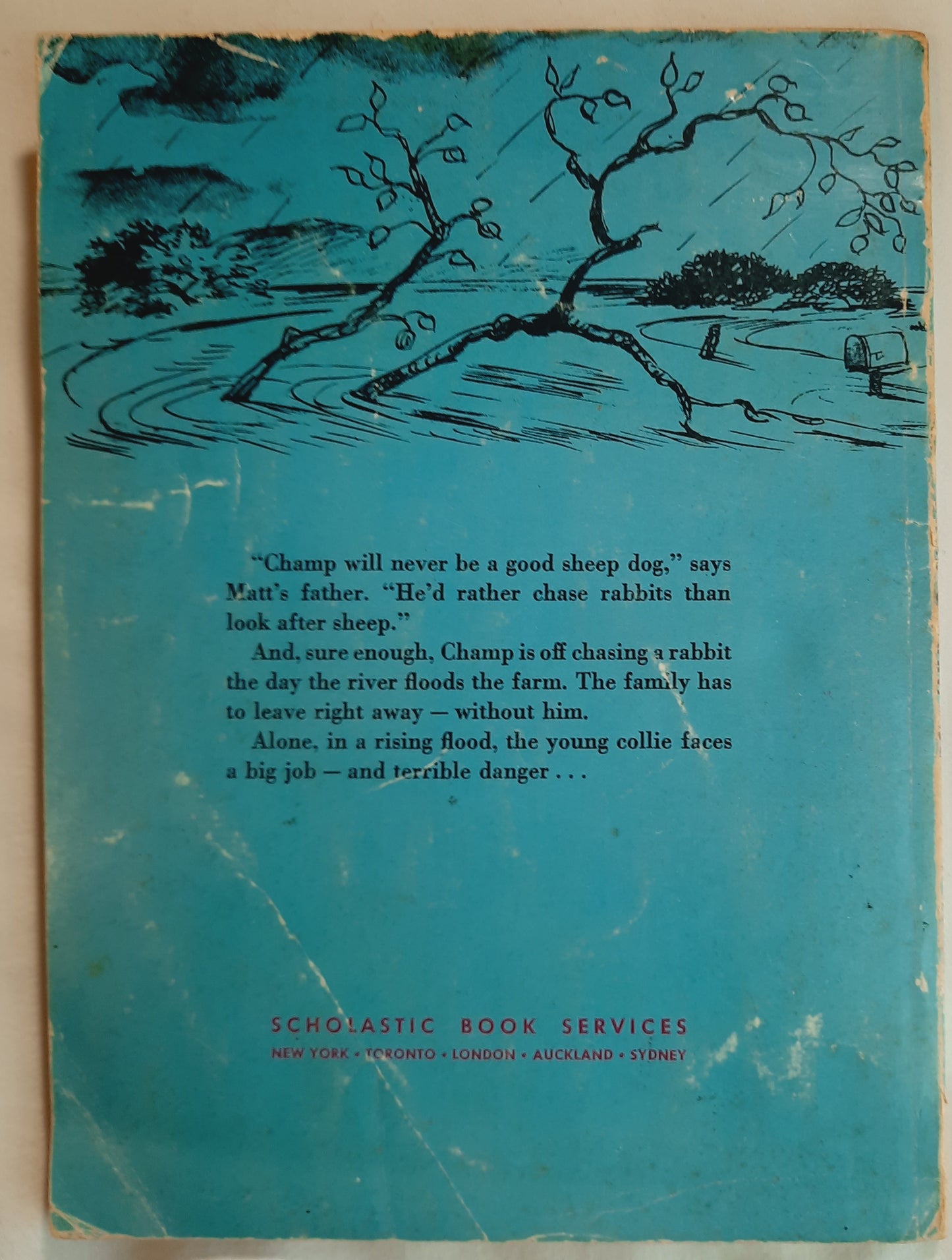 Champ: Gallant Collie by Patricia Lauber; Leonard Shortall (Acceptable, 1974, Pbk, 72 pages, Scholastic)