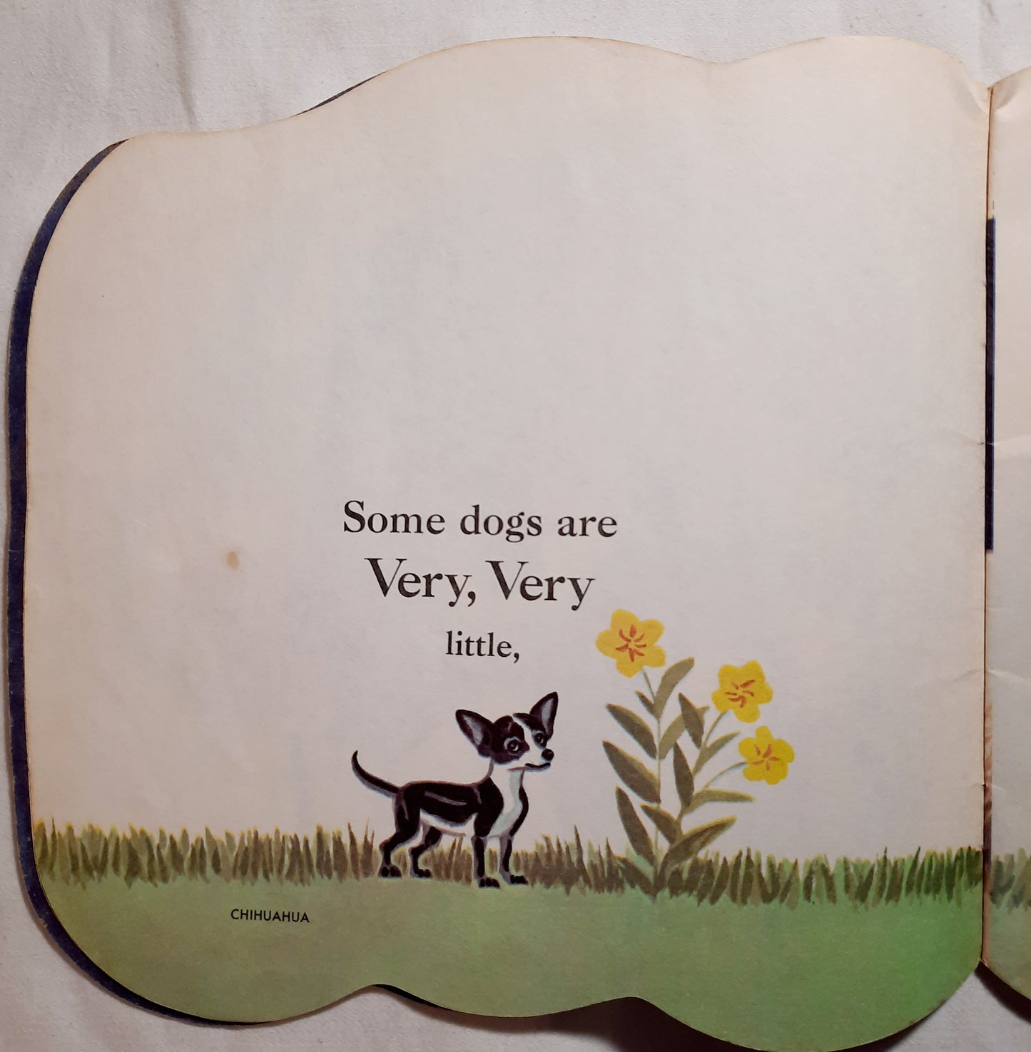 The Dog Book by Jan Pfloog (Good, 1977, Pbk, A Golden Shape Book)