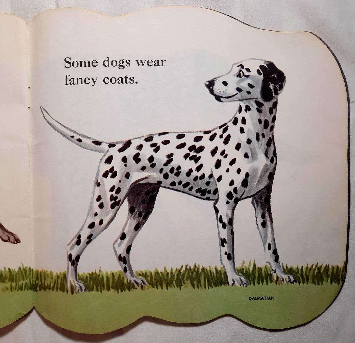 The Dog Book by Jan Pfloog (Good, 1977, Pbk, A Golden Shape Book)