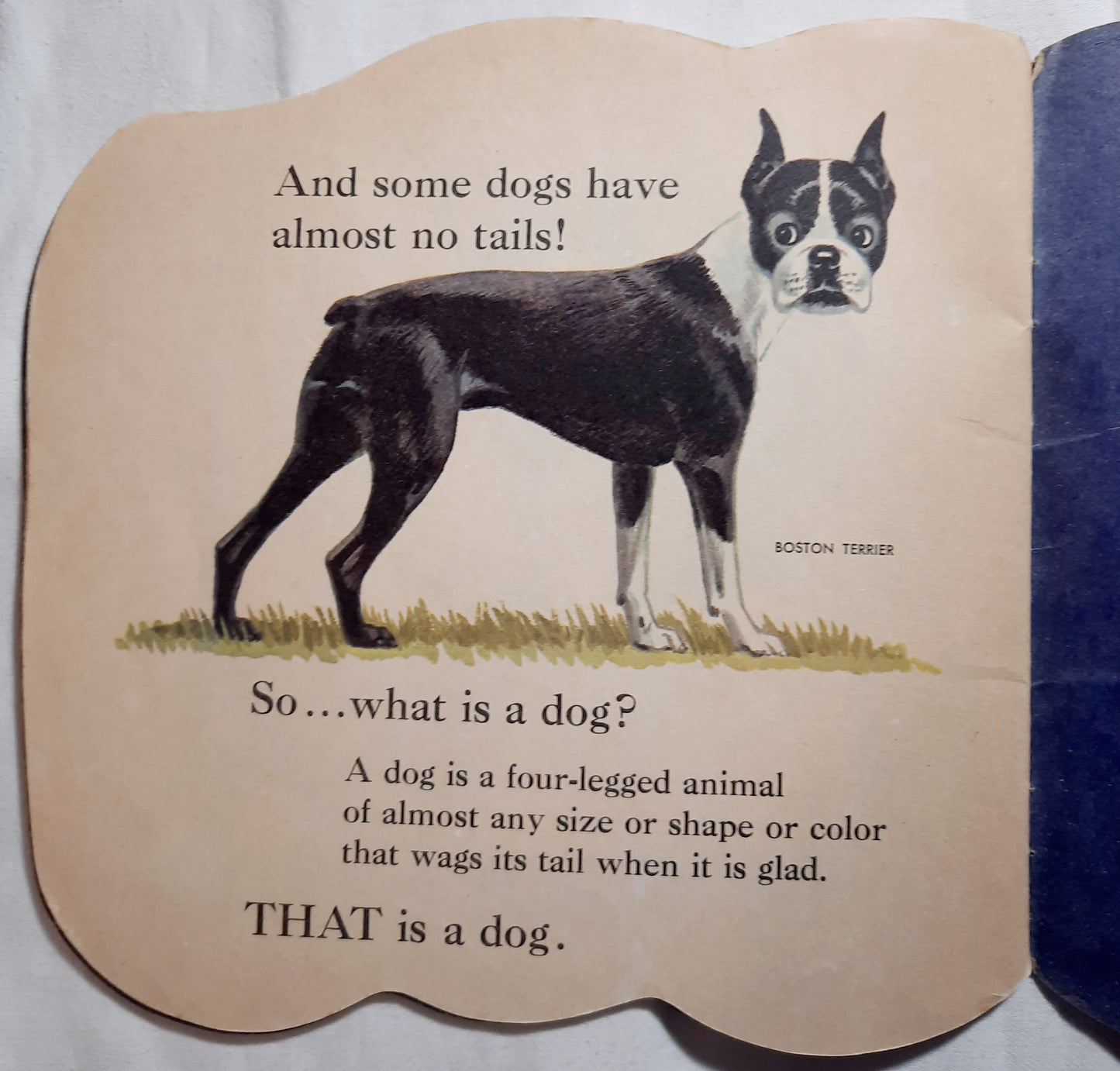 The Dog Book by Jan Pfloog (Good, 1977, Pbk, A Golden Shape Book)