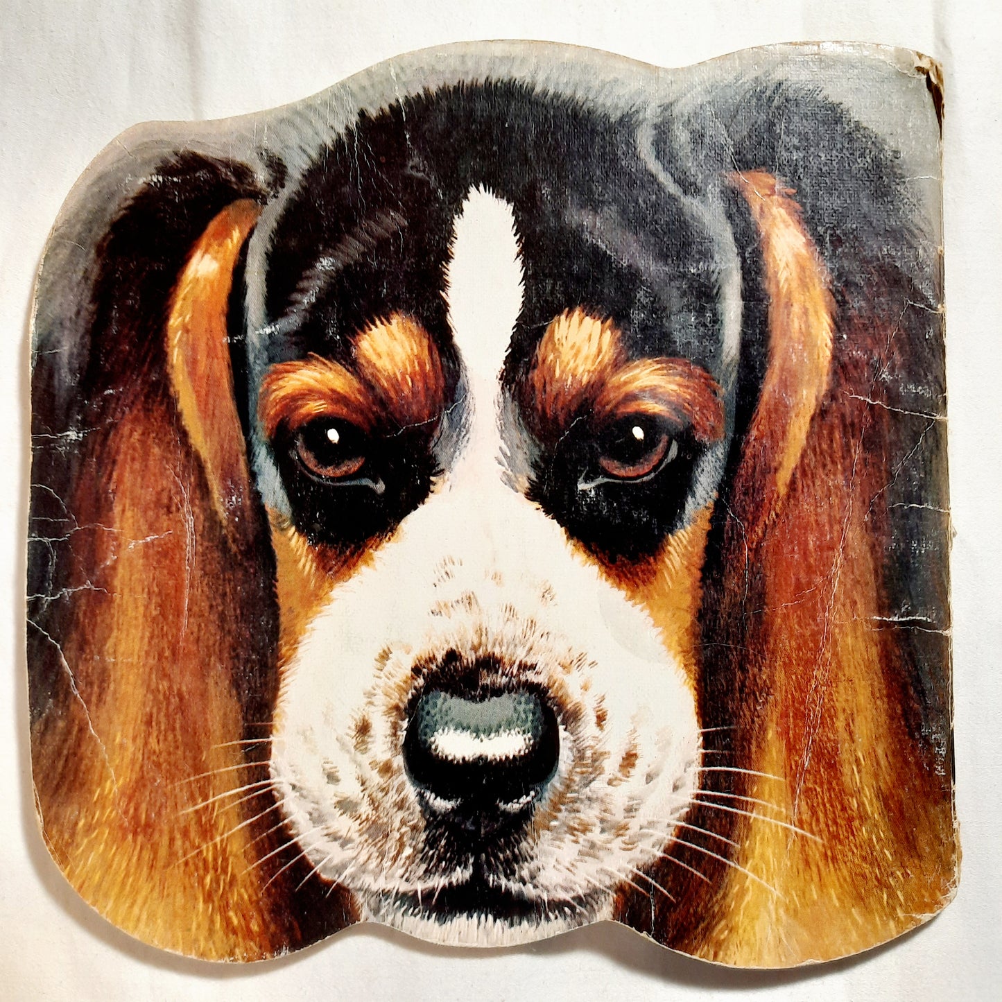 The Dog Book by Jan Pfloog (Good, 1977, Pbk, A Golden Shape Book)