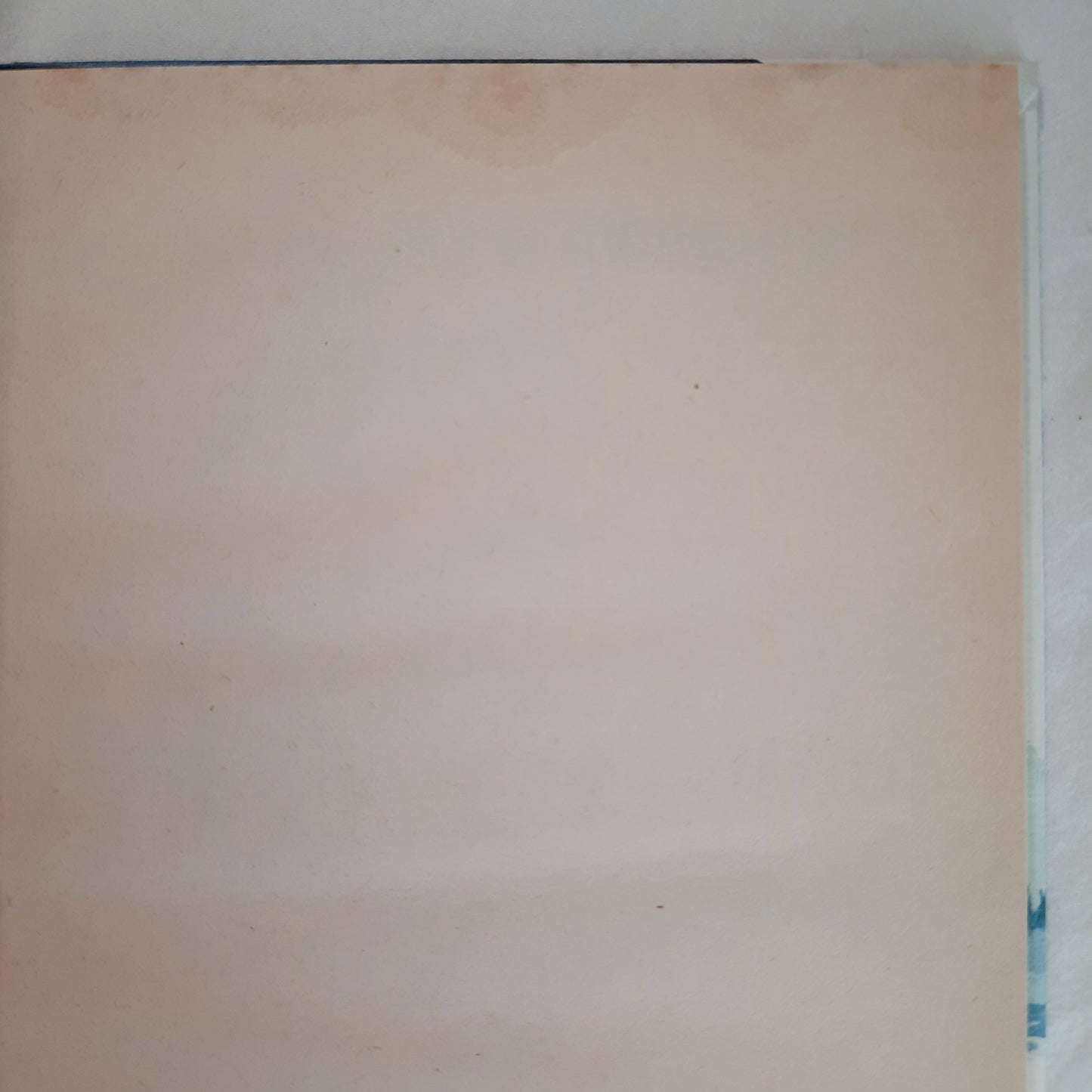 The Night the Monster Came by Mary Calhoun (Very good, 1982, HC, 62 pages, Weekly Reader Books)