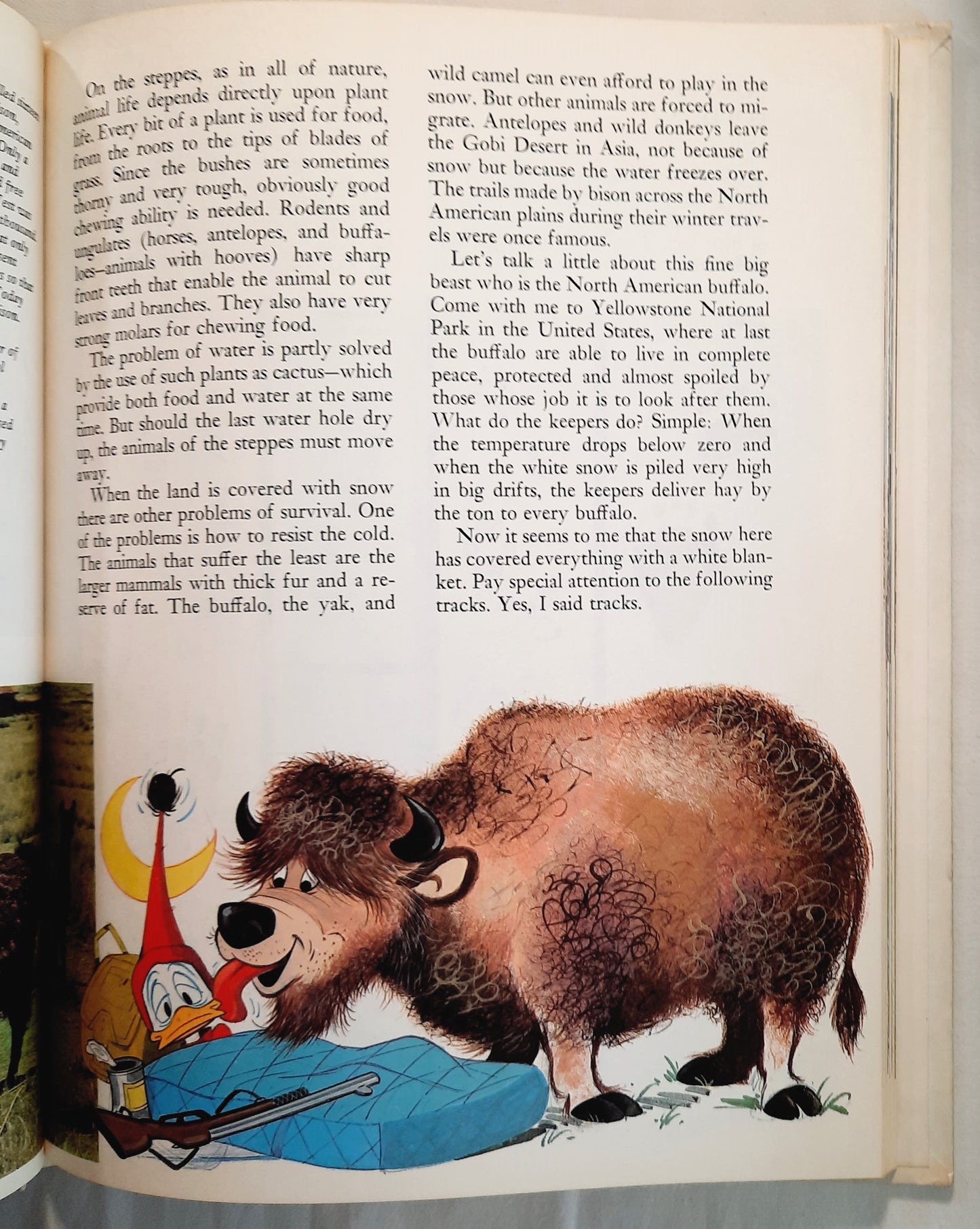 Disney's Wonderful World of Knowledge: Animals (Very Good, 1973, HC, 126 pages, Grolier Enterprises)earing) (Copy)