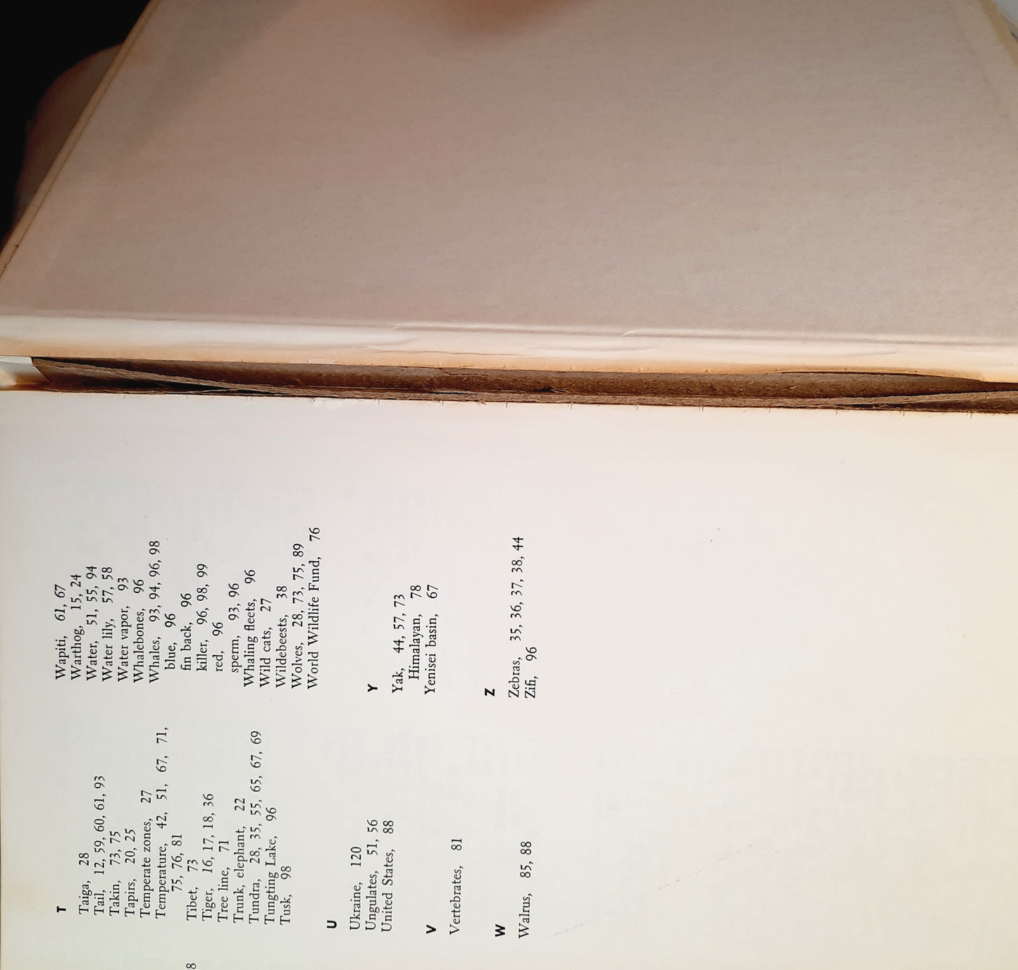 Disney's Wonderful World of Knowledge: Animals (Very Good, 1973, HC, 126 pages, Grolier Enterprises)earing) (Copy)