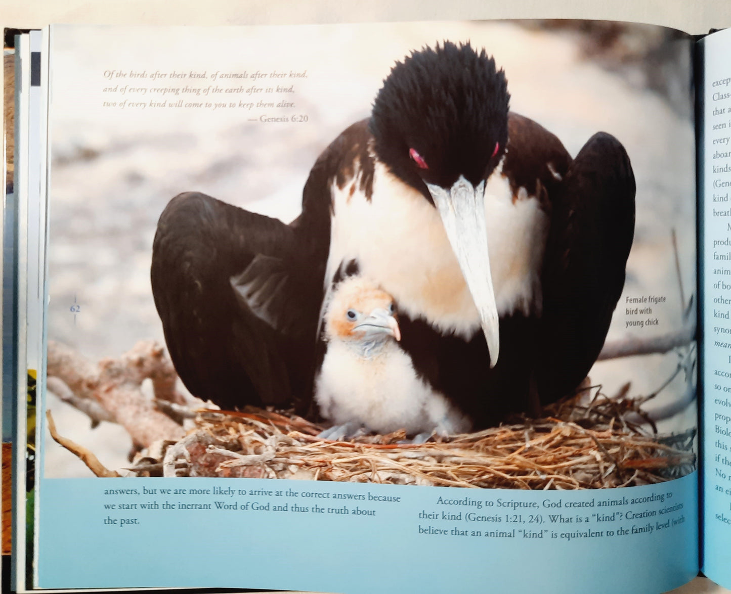 Galapagos Islands: A Different View edited by Georgia Purdom (Like new, 2013, HC, 104 pages, Master Books)
