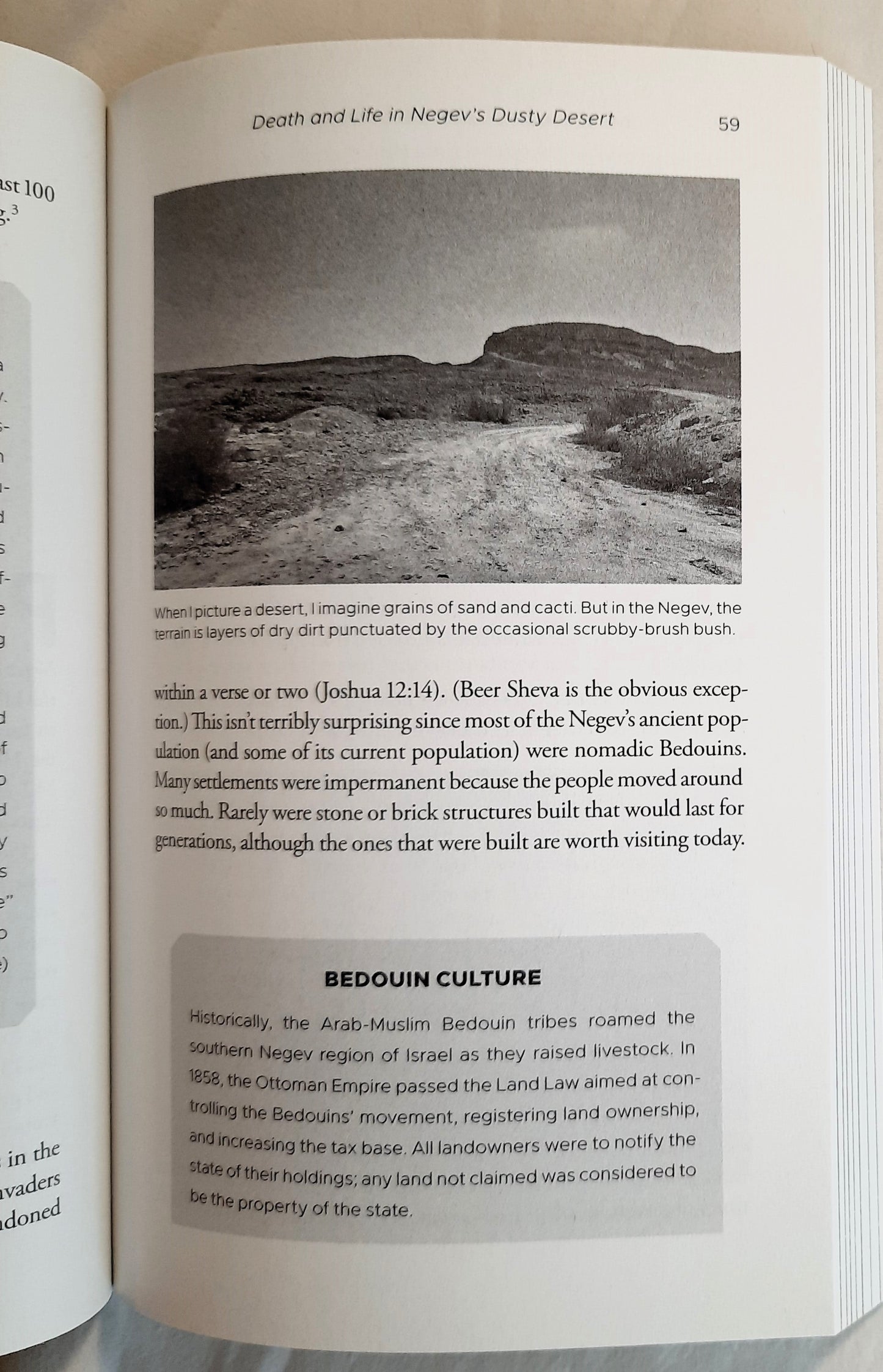 The Red-Haired Archaeologist Digs Israel by Amanda Hope Haley (New, Pbk, 2021, Harvest House, 208 pgs)