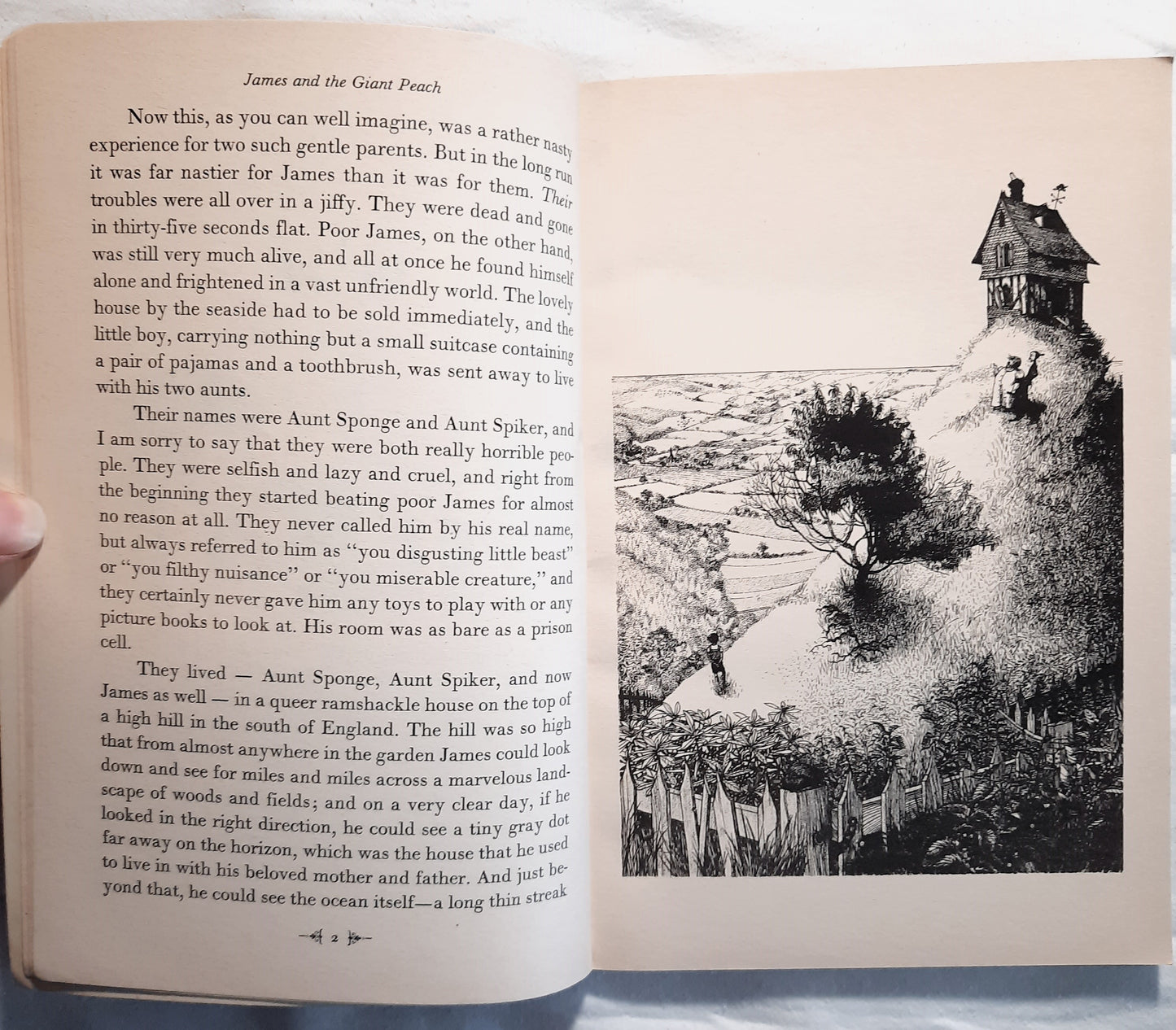 James and the Giant Peach by Roald Dahl (Very good, 1988, Pbk, 120 pages, Puffin Books)