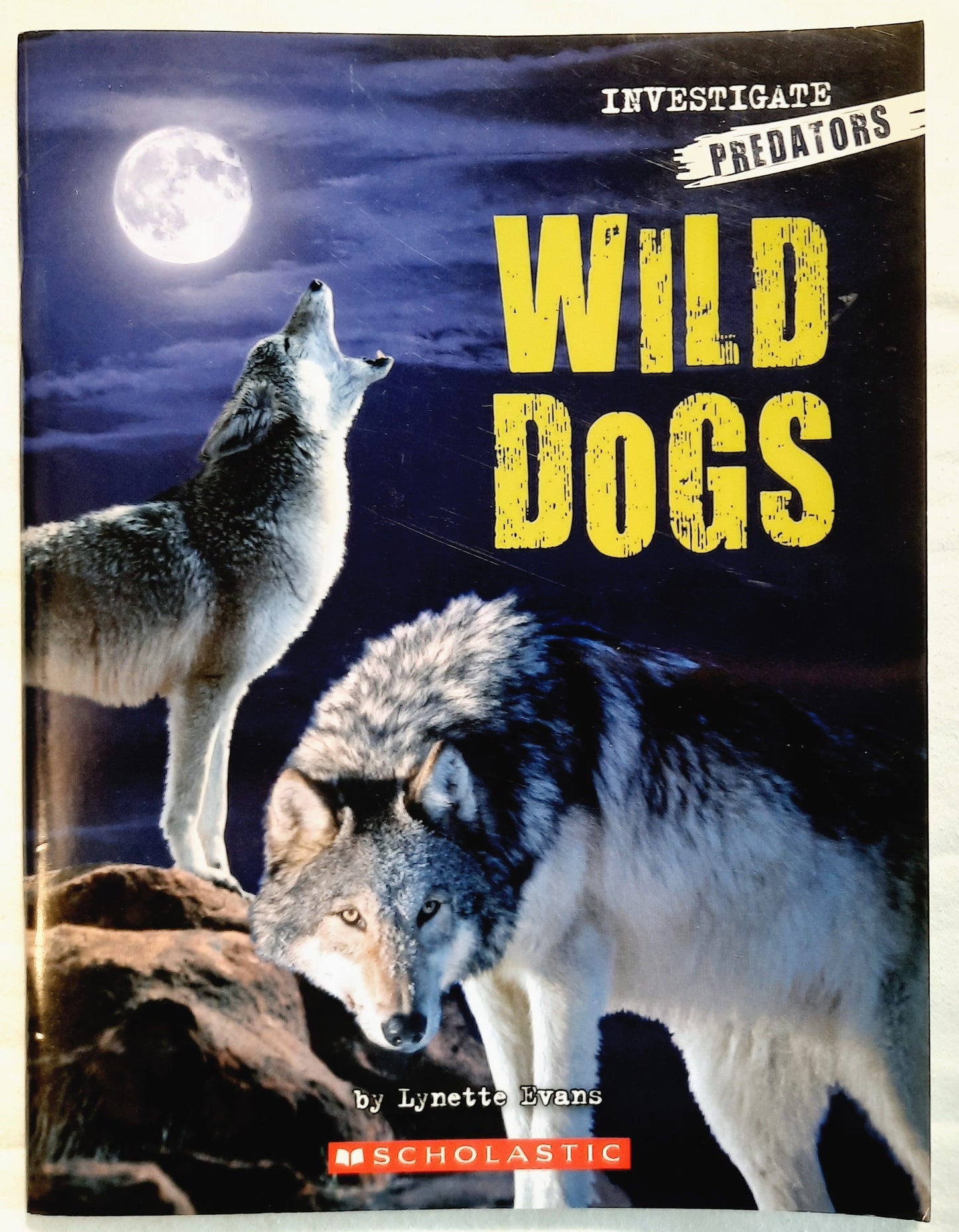 Investigate Predators: Wild Dogs by Lynette Evans (Very Good, Pbk, 2008, Scholastic, 28 pages)