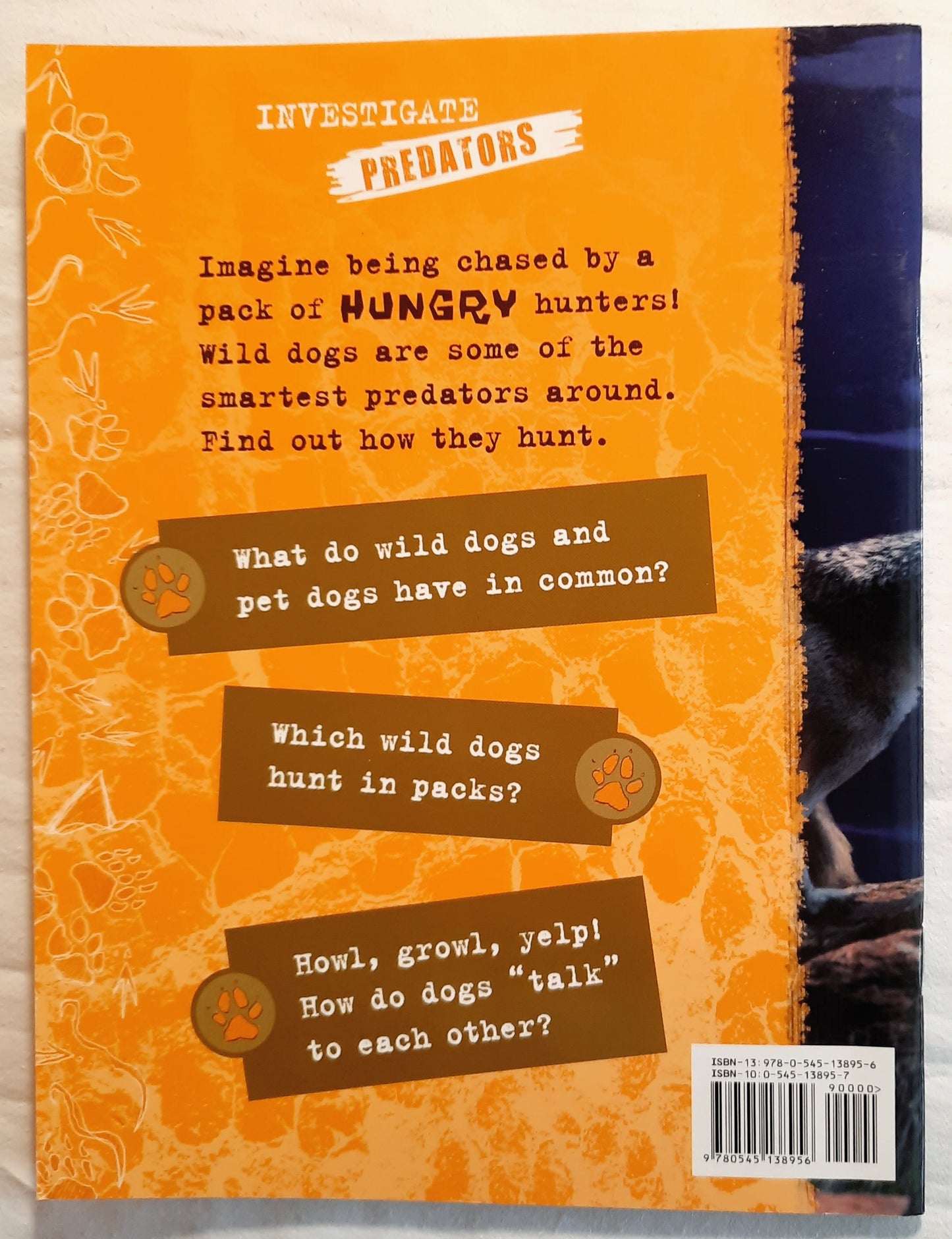 Investigate Predators: Wild Dogs by Lynette Evans (Very Good, Pbk, 2008, Scholastic, 28 pages)