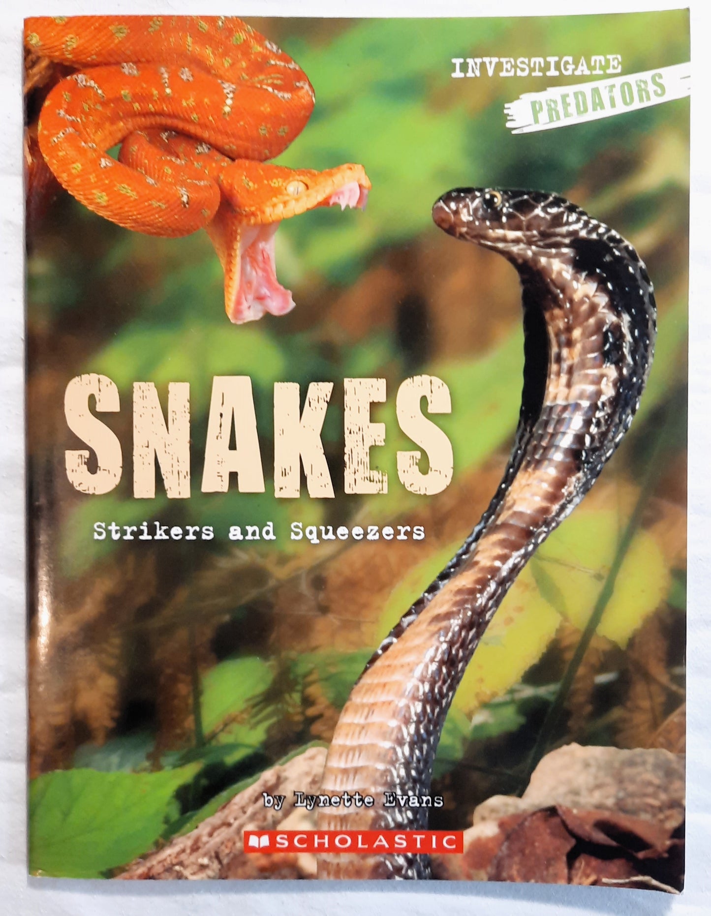 Investigate Predators: Snakes by Lynette Evans (Very Good, 2008, Pbk, Scholastic, 28 pages)