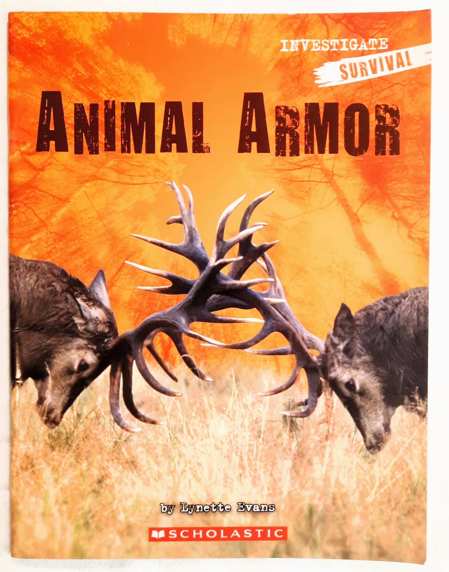 Investigate Survival: Animal Armor by Lynette Evans (Good, 2008, Pbk, Scholastic, 28 pages)