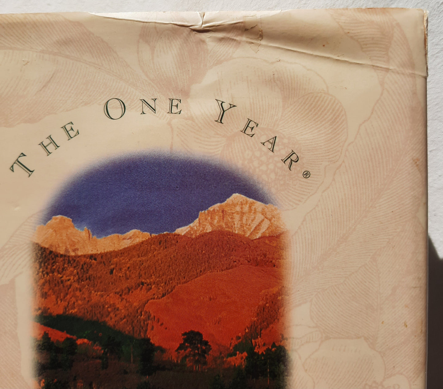 The One Year Book of Bible Readings by Edythe Draper (Very good, 1999, HC, 365 pages, Tyndale)