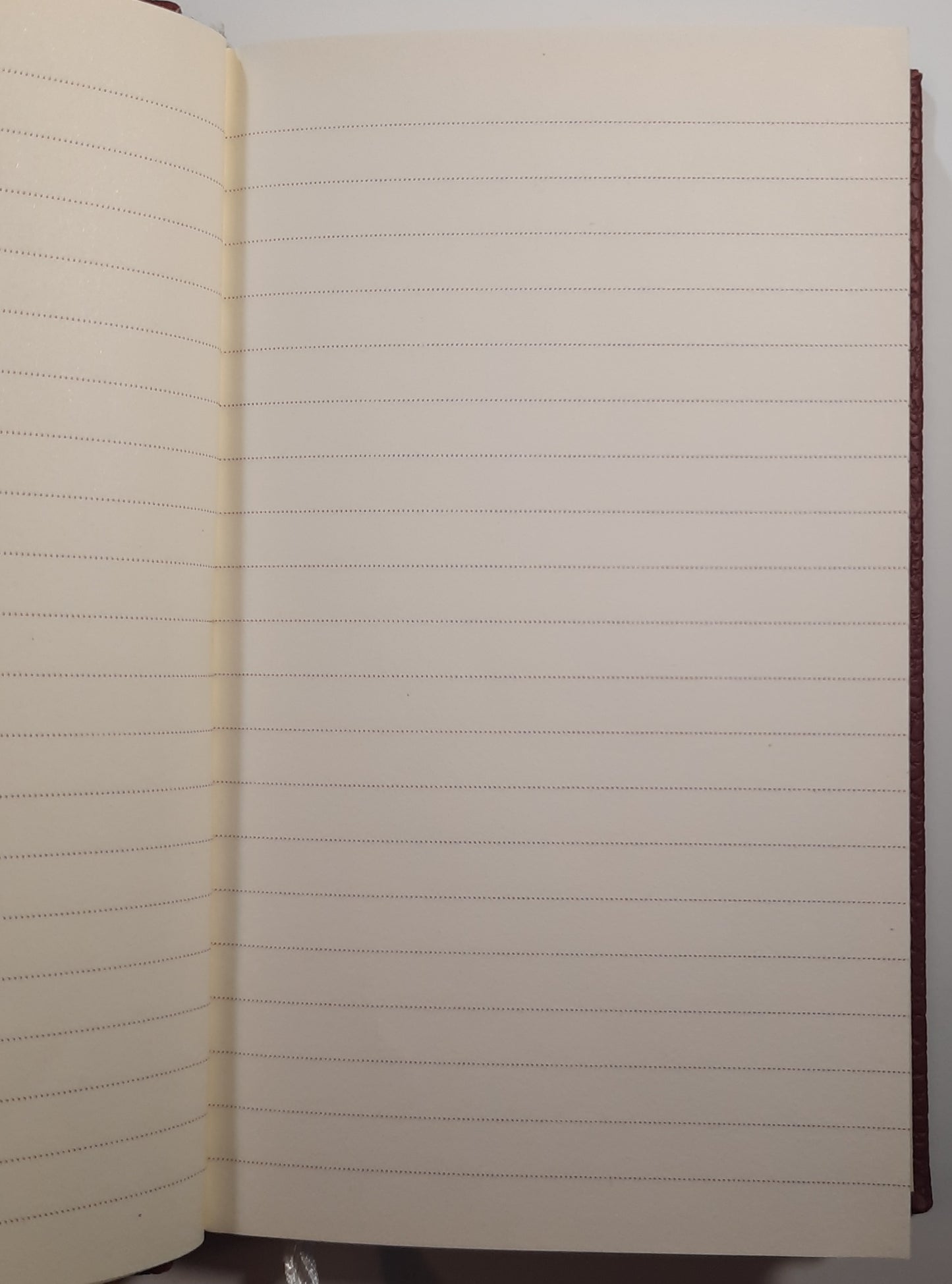 Dumbledore's Army Mini-Notebook by Innovative Designs (Like New, HC, Loot Crate Exclusive)