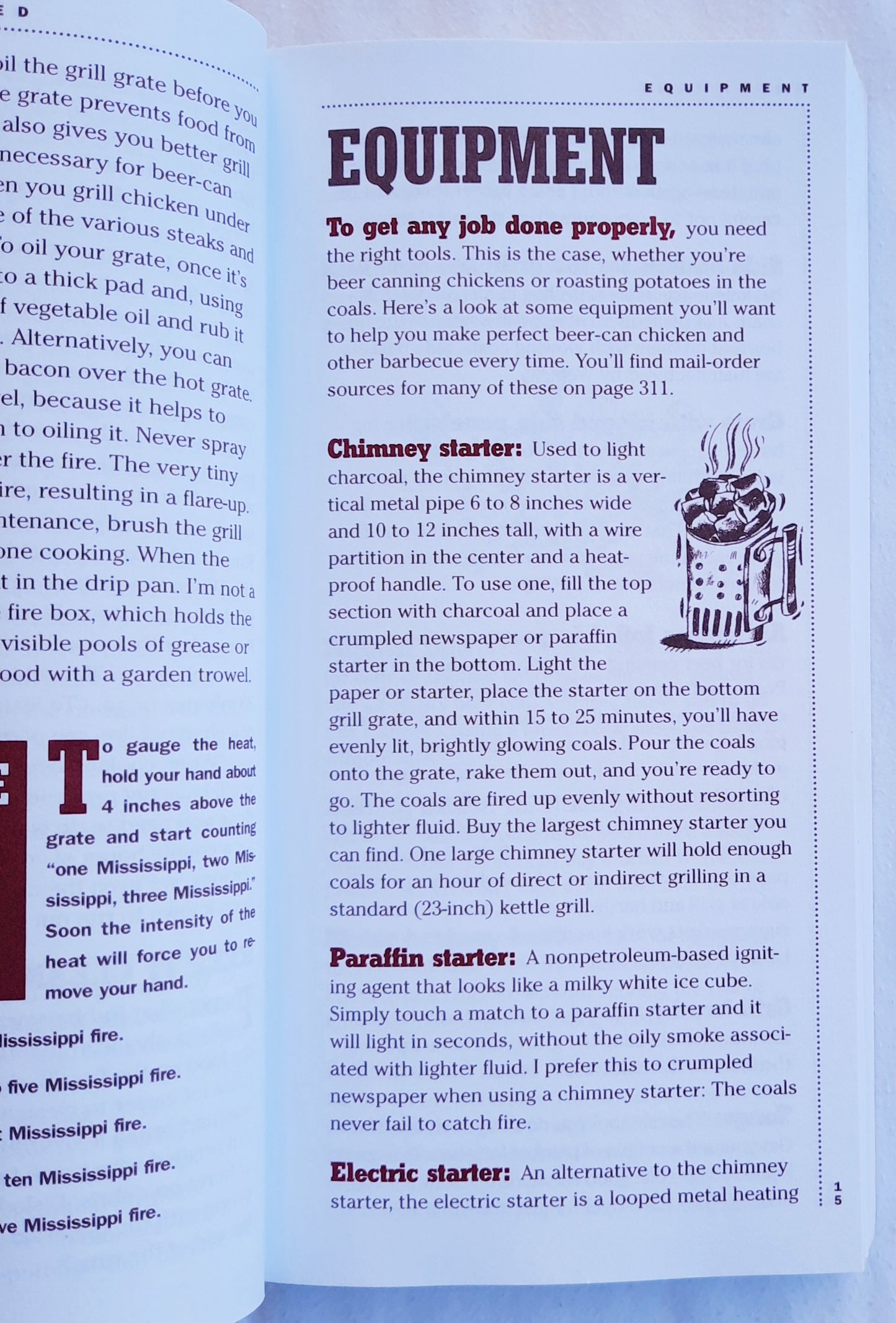 Beer-Can Chicken and 74 Other Offbeat Recipes for the Grill by Steven Raichlen (Very good, 2002, Pbk, 326 pages, Workman Publishing)