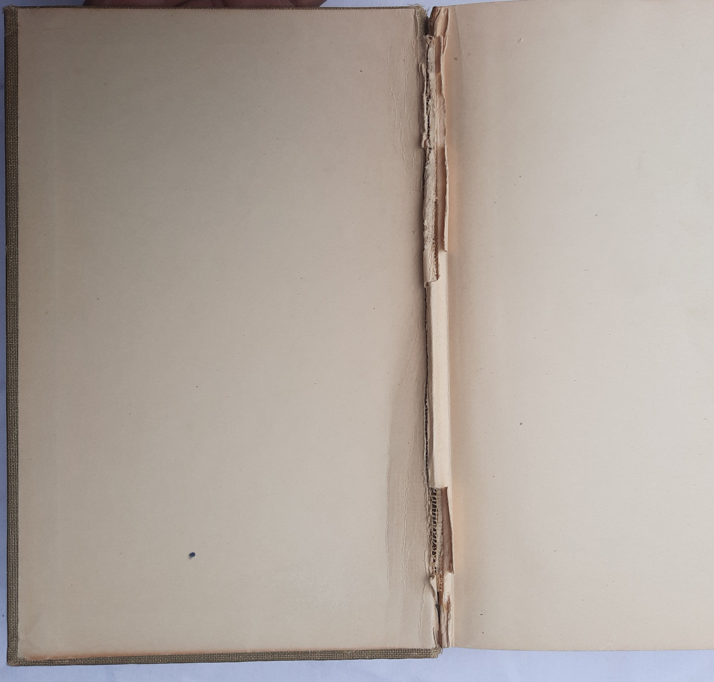 The Cost by David Graham Phillips; Harrison Fisher (Good, 1904, HC, 402 pages, Bobbs Merrill Co.)