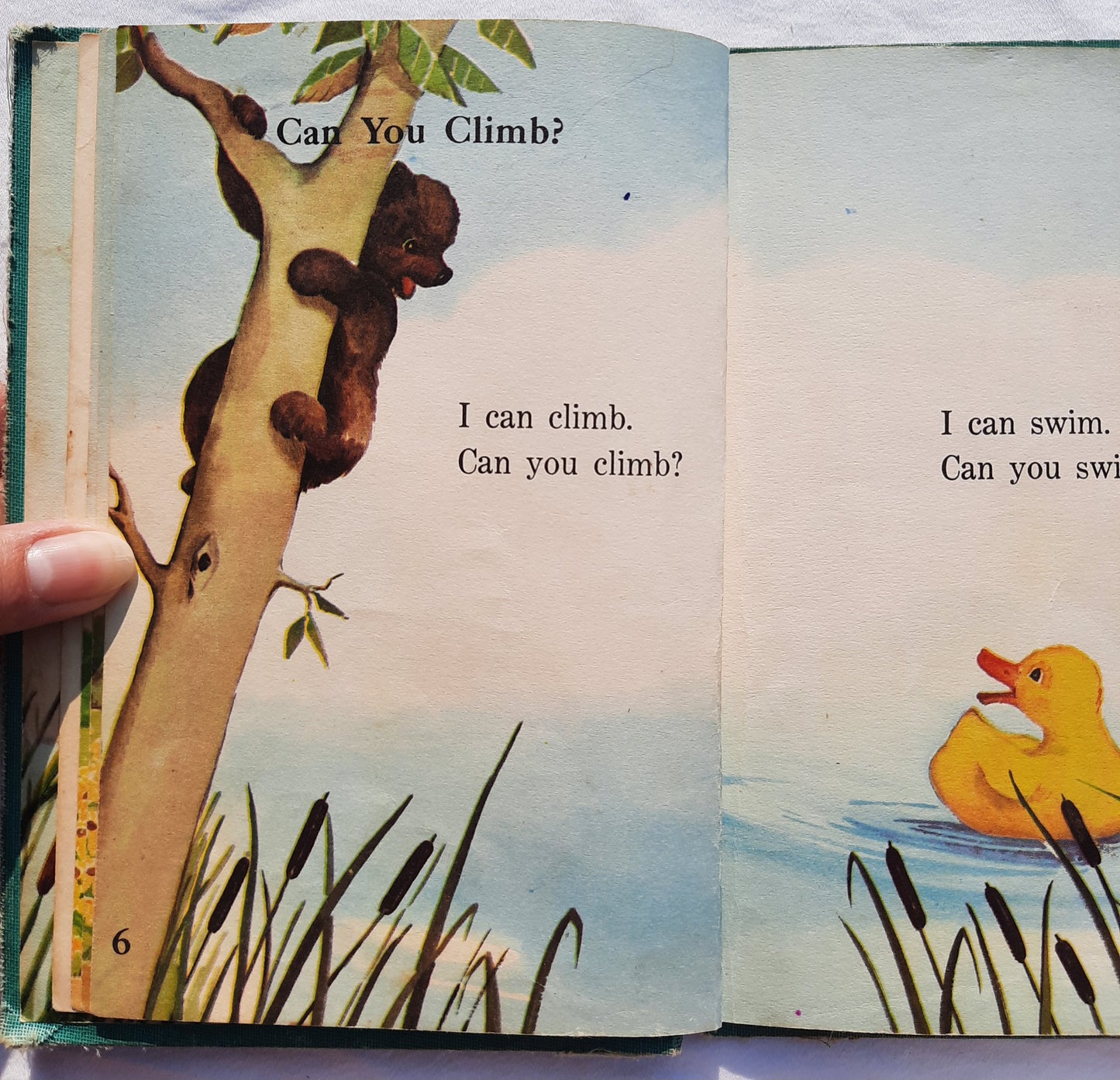 Who Are You? by Adda Mai Sharp; Epsie Young (Woodland Frolics Series: Good, 1947, HC, 48 pages, The Steck Co.)