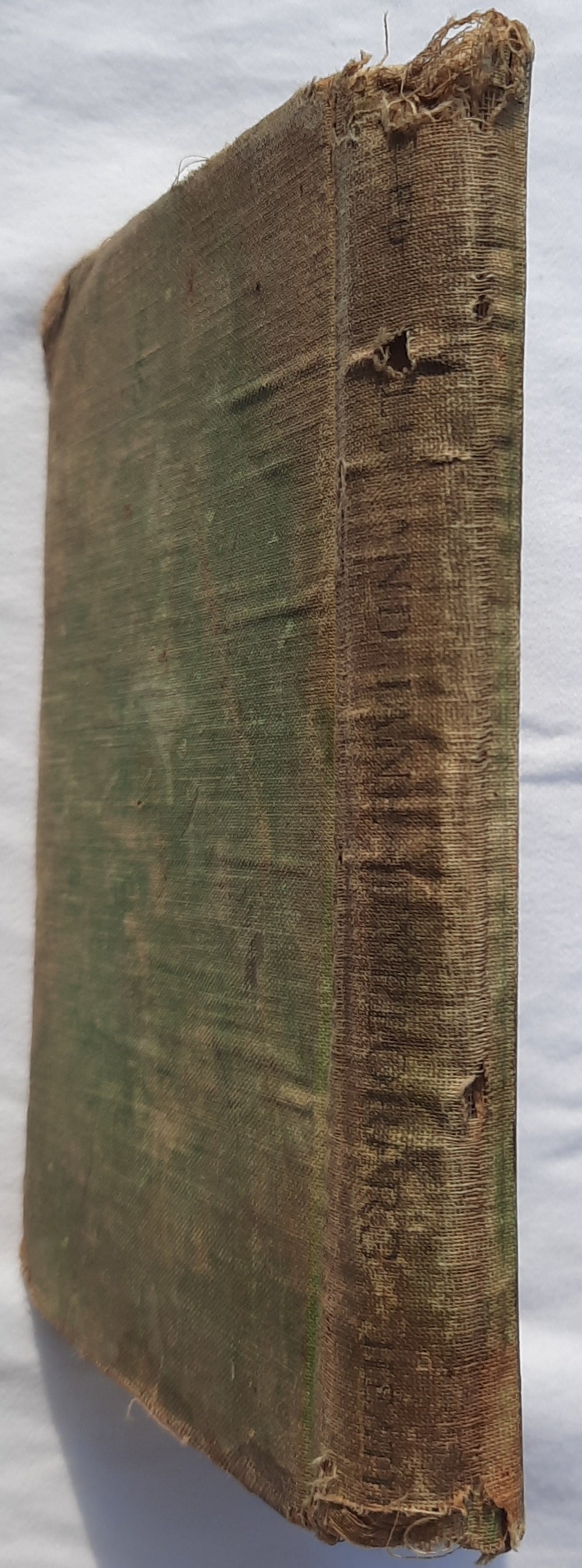 Billy and Jane: Explorers Book II by James Speed (Poor, 1924, HC, 158 pages, DC Heath)