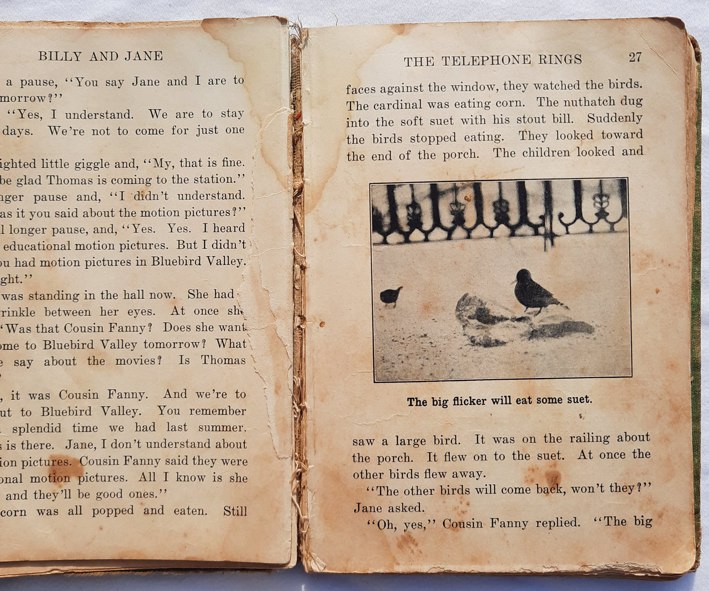 Billy and Jane: Explorers Book II by James Speed (Poor, 1924, HC, 158 pages, DC Heath)