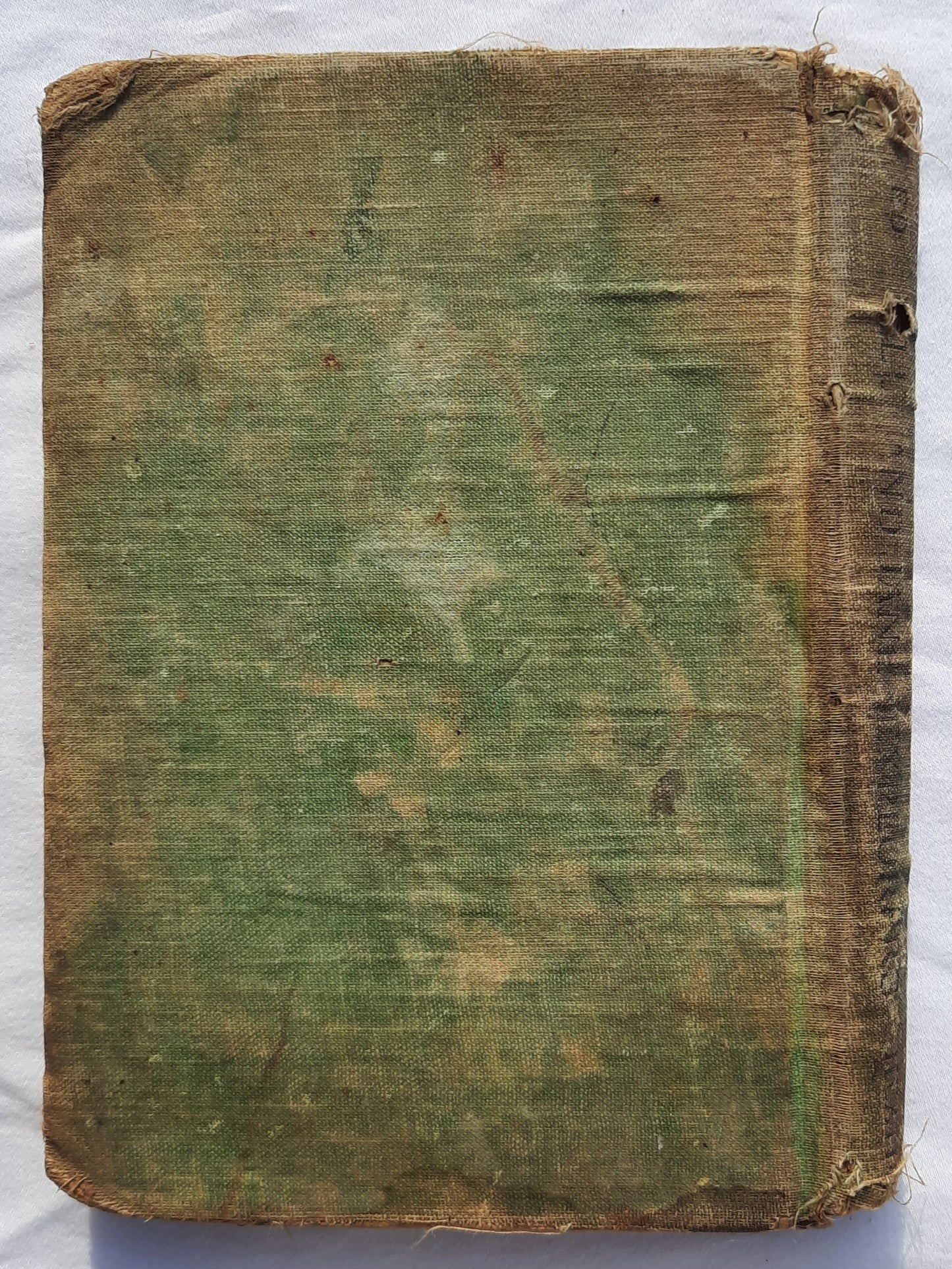 Billy and Jane: Explorers Book II by James Speed (Poor, 1924, HC, 158 pages, DC Heath)