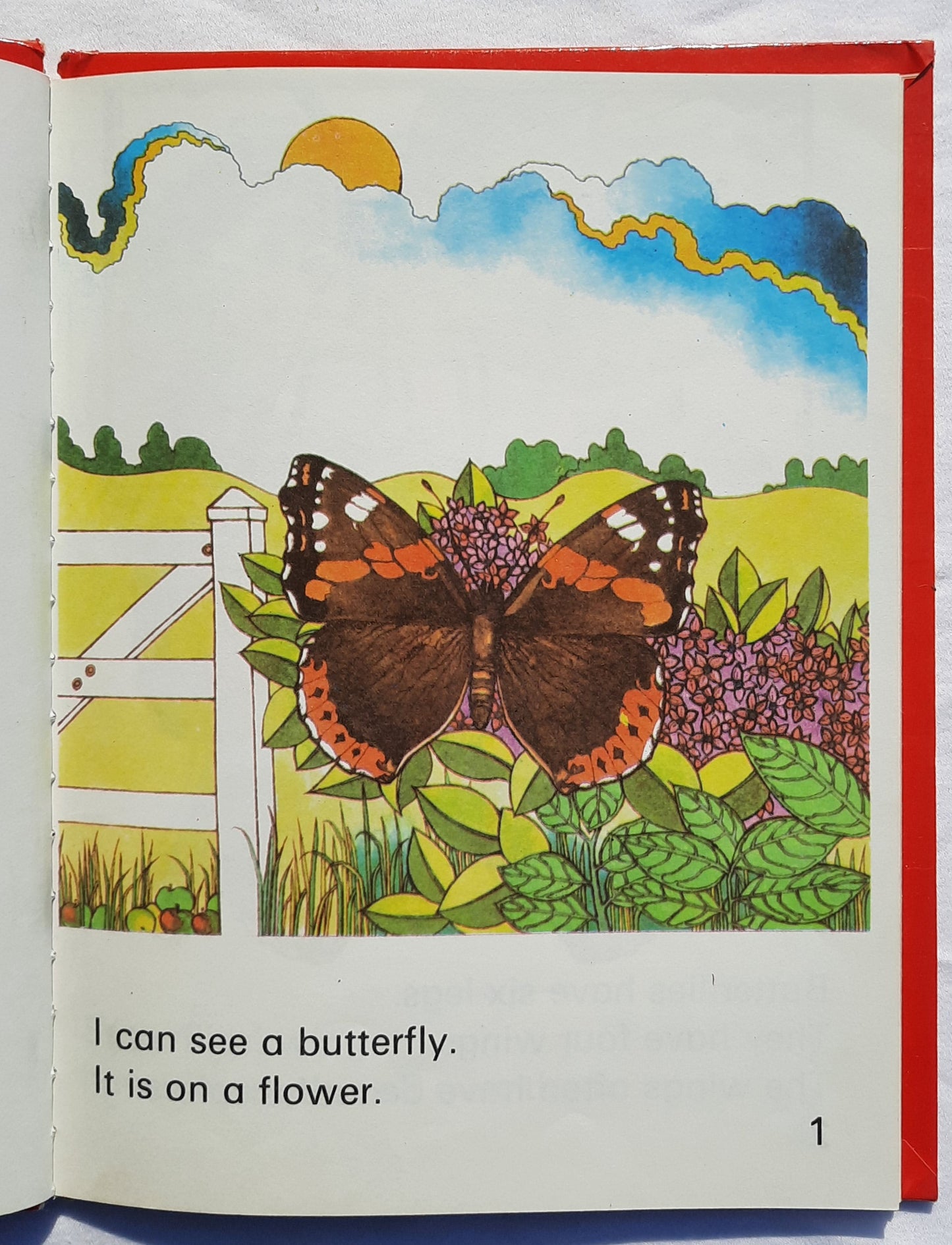 Wonder Starters: Butterflies illustrated by John Mousdale (Good, 1973, HC, 25 pages, Wonder Books)