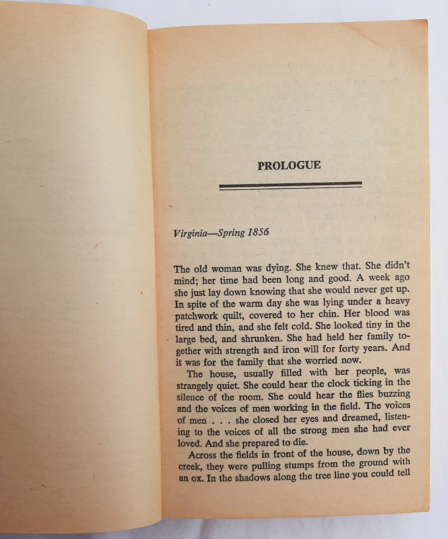 The Blue and the Gray by John Leekley (Good, 1982, 303 pages, Dell Fiction)