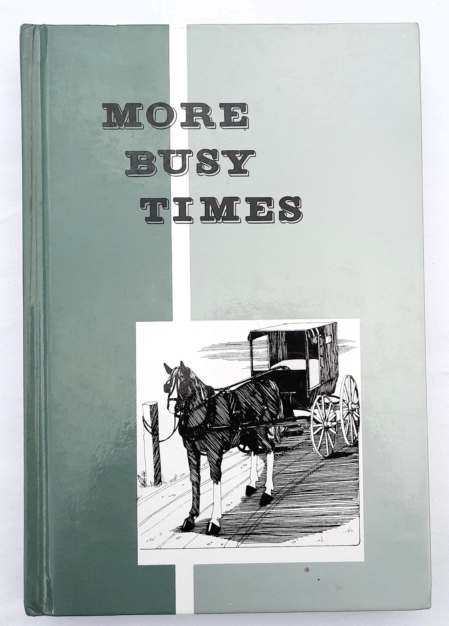 More Busy Times Reader by Pathway Publishers (Very good, 2014, HC, 288 pages)