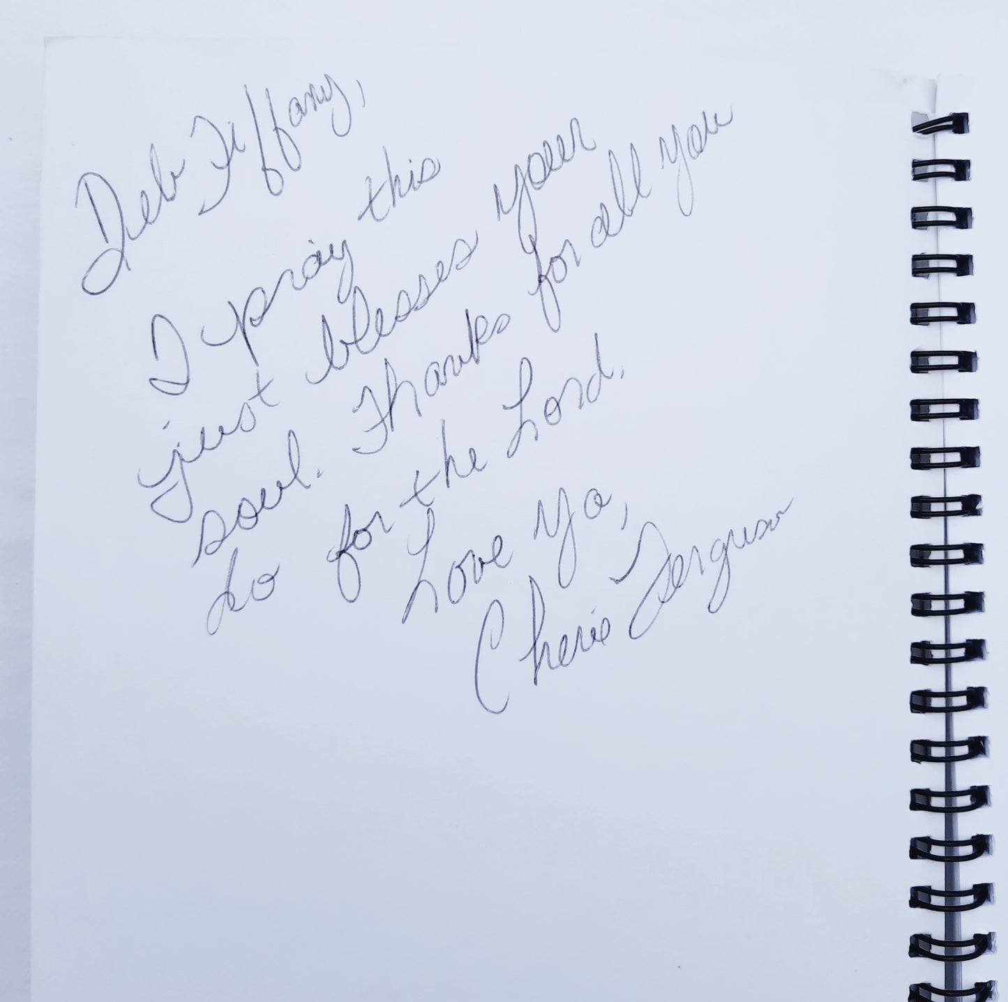 JOY: Jesus Others You Joy Journal by Cherie Ferguson (Very good, 2015, Spiral Pbk, 172 pages)