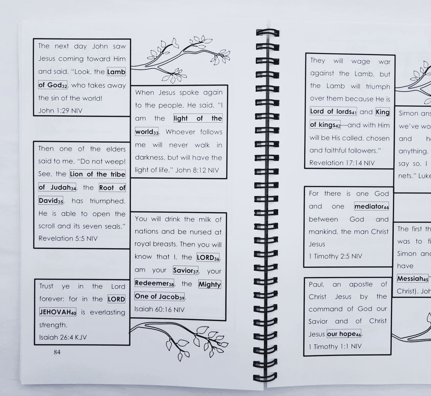 JOY: Jesus Others You Joy Journal by Cherie Ferguson (Very good, 2015, Spiral Pbk, 172 pages)