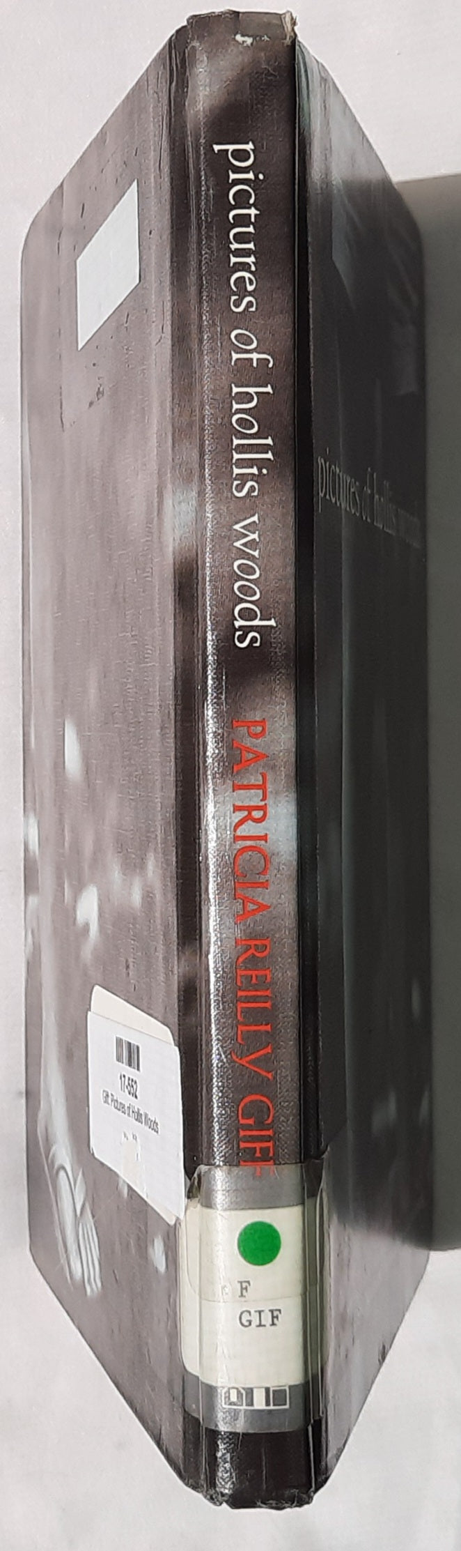 Pictures of Hollis Woods by Patricia Reilly Giff (Acceptable, 2002, HC, 166 pages, Wendy Lamb Books)