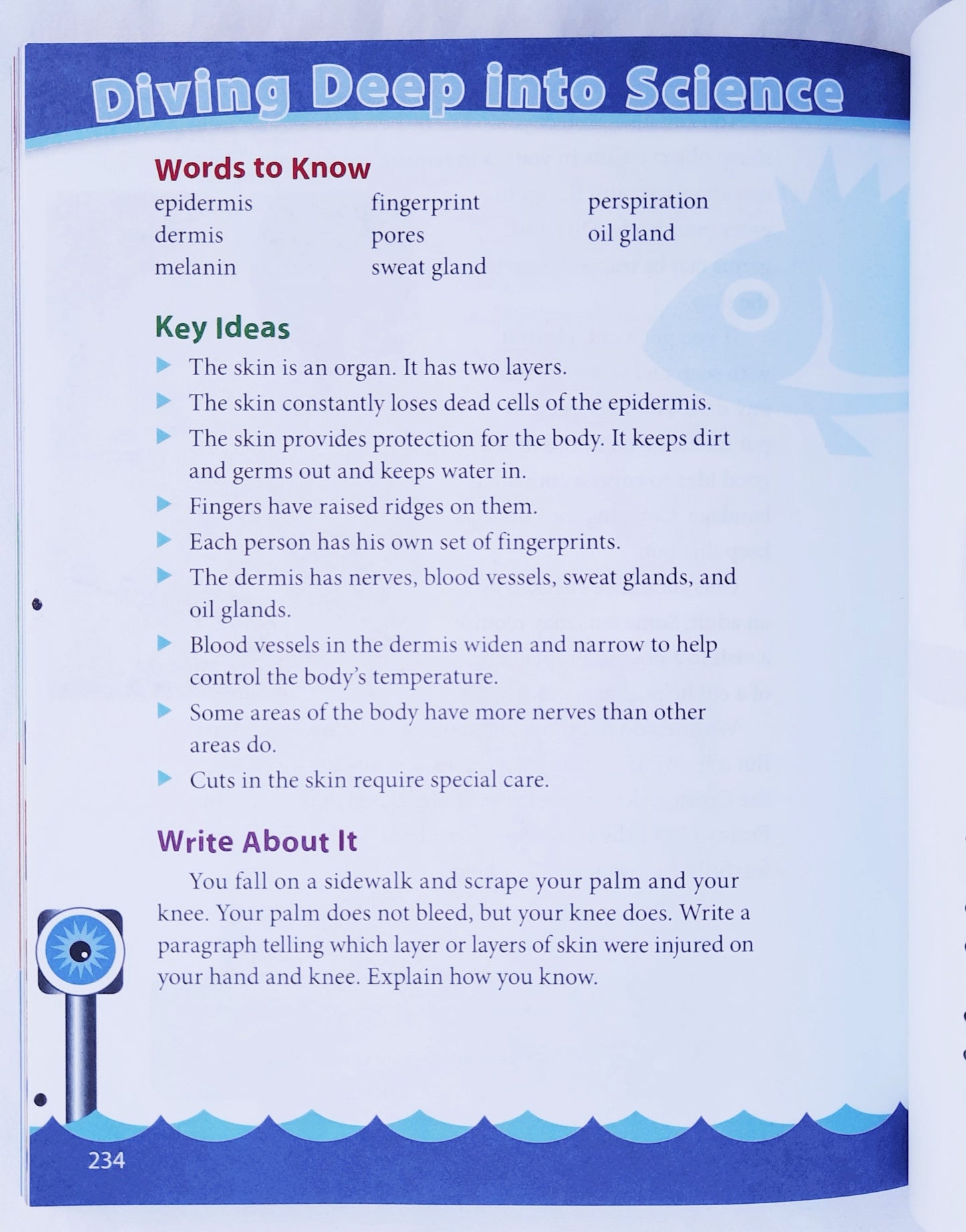 Science 3 Student Textbook 3rd grade (New, 2009, Pbk, 3rd edition, 249 pages, BJU Press)