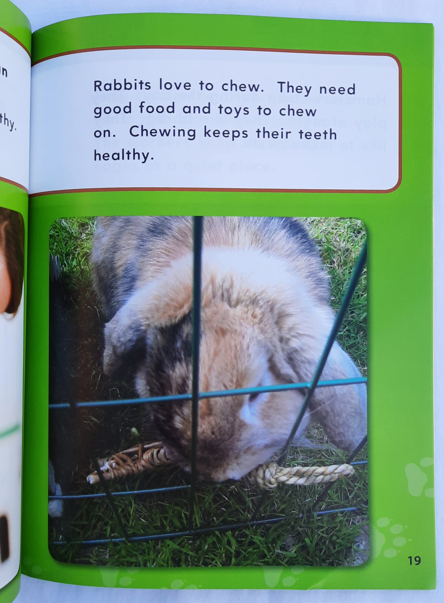 Main Street Animal Shelter: Graphing by Suzanne Barchers (Very Good, 2011, Pbk, 32 pages, Teacher Created Materials)