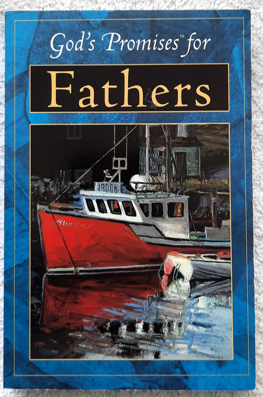 God's Promises for Fathers by J. Countryman (Very good, 1999, Pbk, 288 pages, Thomas Nelson)