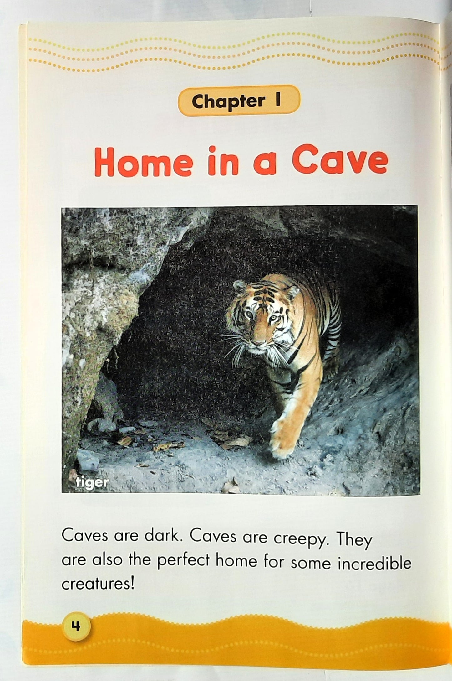 Science Vocabulary Readers: Cave Homes by Elizabeth Bennett (Very good, 2007, Pbk, 16 pages, Scholastic)