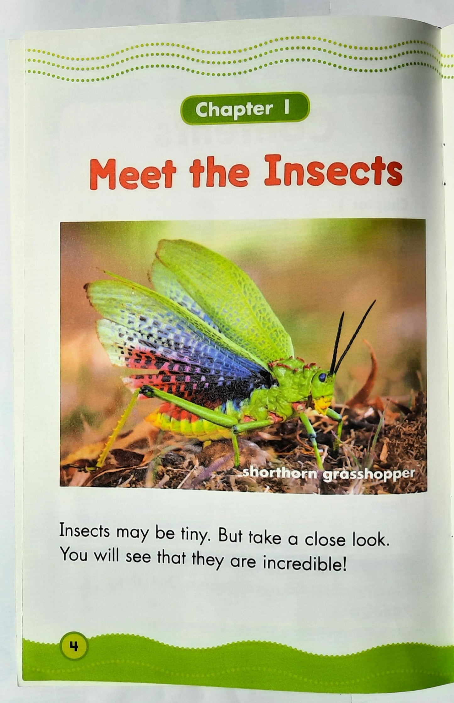 Science Vocabulary Readers: Incredible Insects by Zoe Barnes (Very good, 2009, Pbk, 16 pages, Scholastic)
